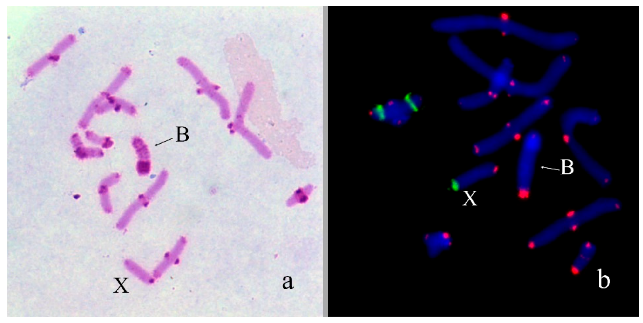Genes 09 00509 g005 Genes 09 00509 g005