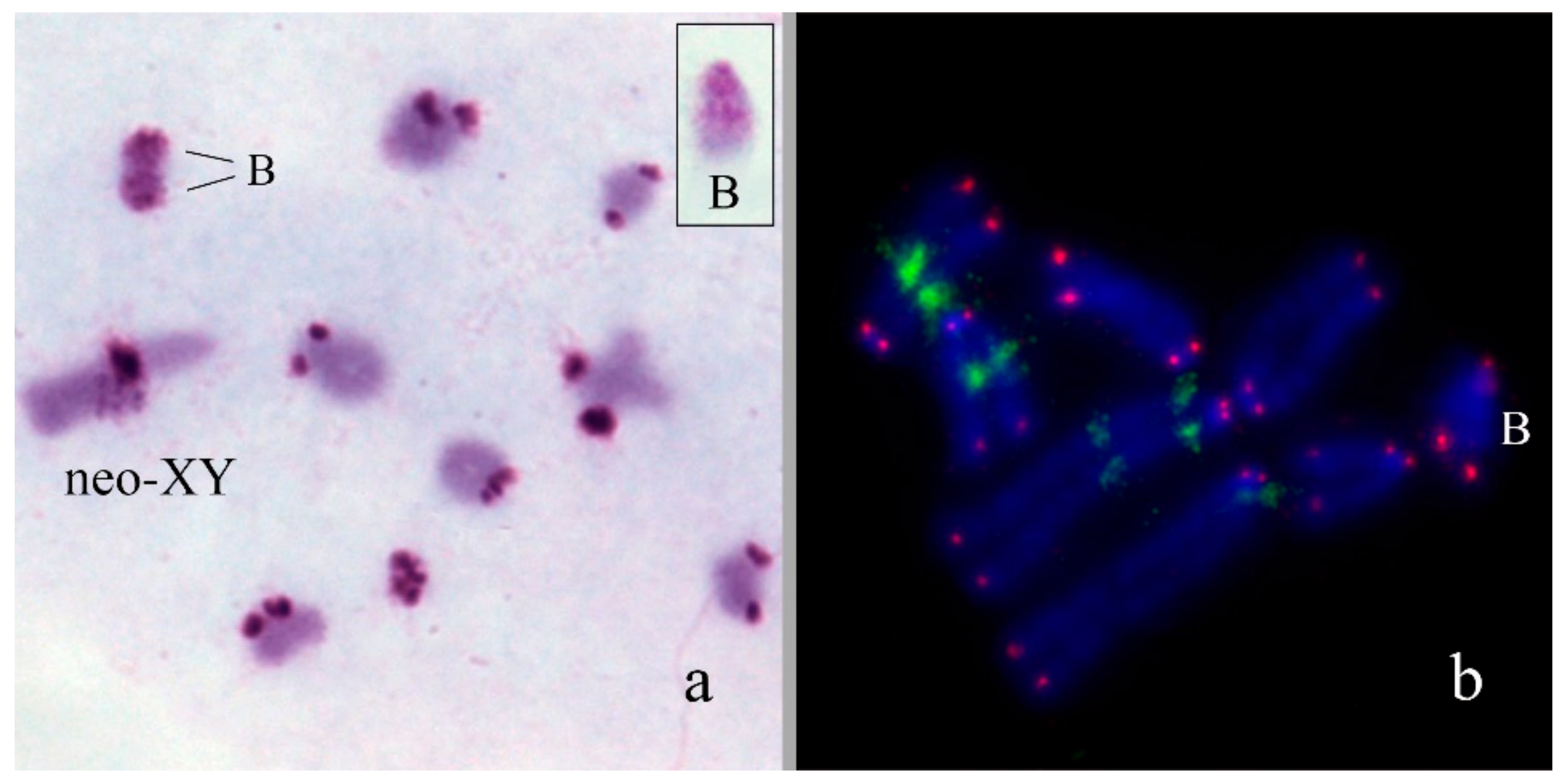 Genes 09 00509 g006 Genes 09 00509 g006