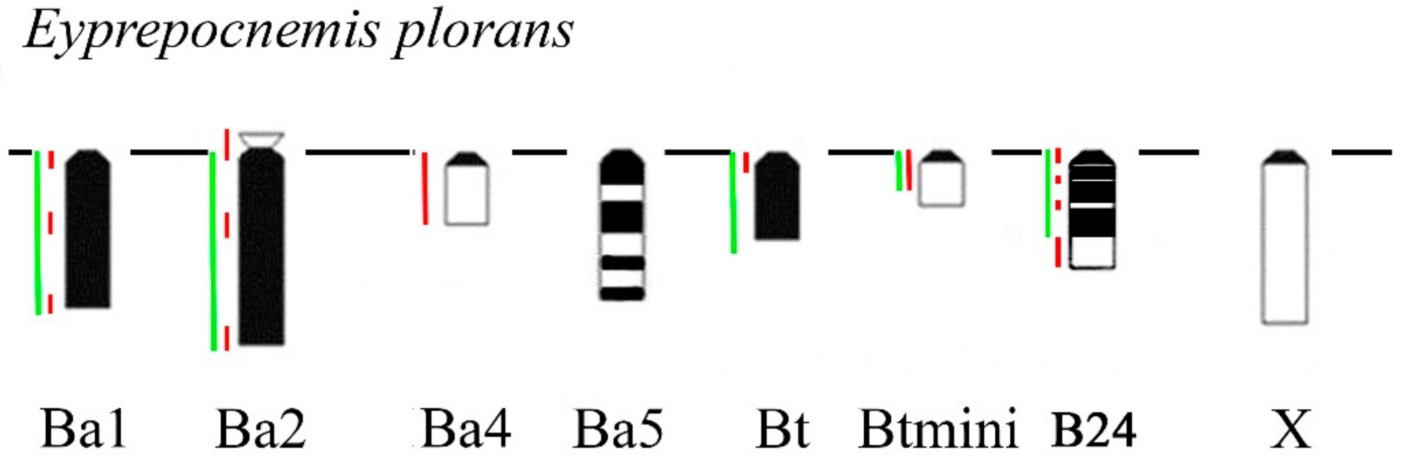 Genes 09 00509 g009 Genes 09 00509 g009