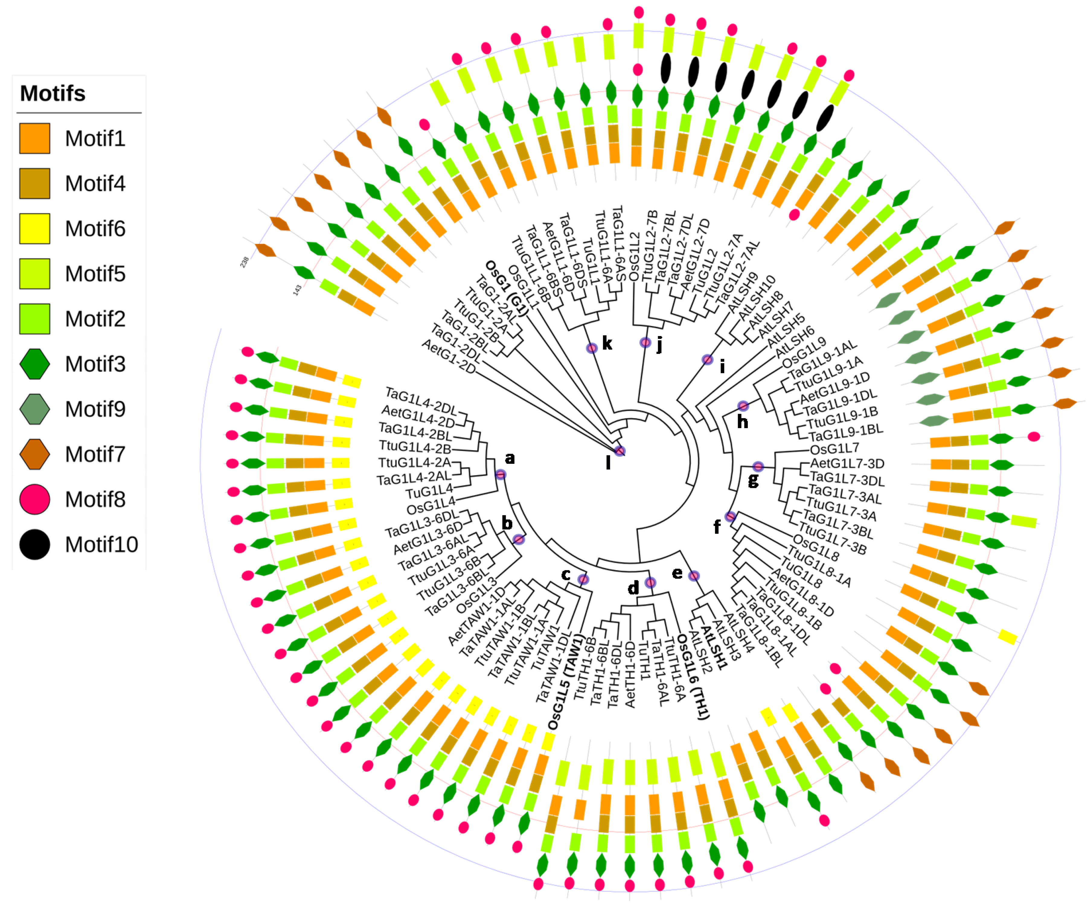 Genes 09 00510 g002