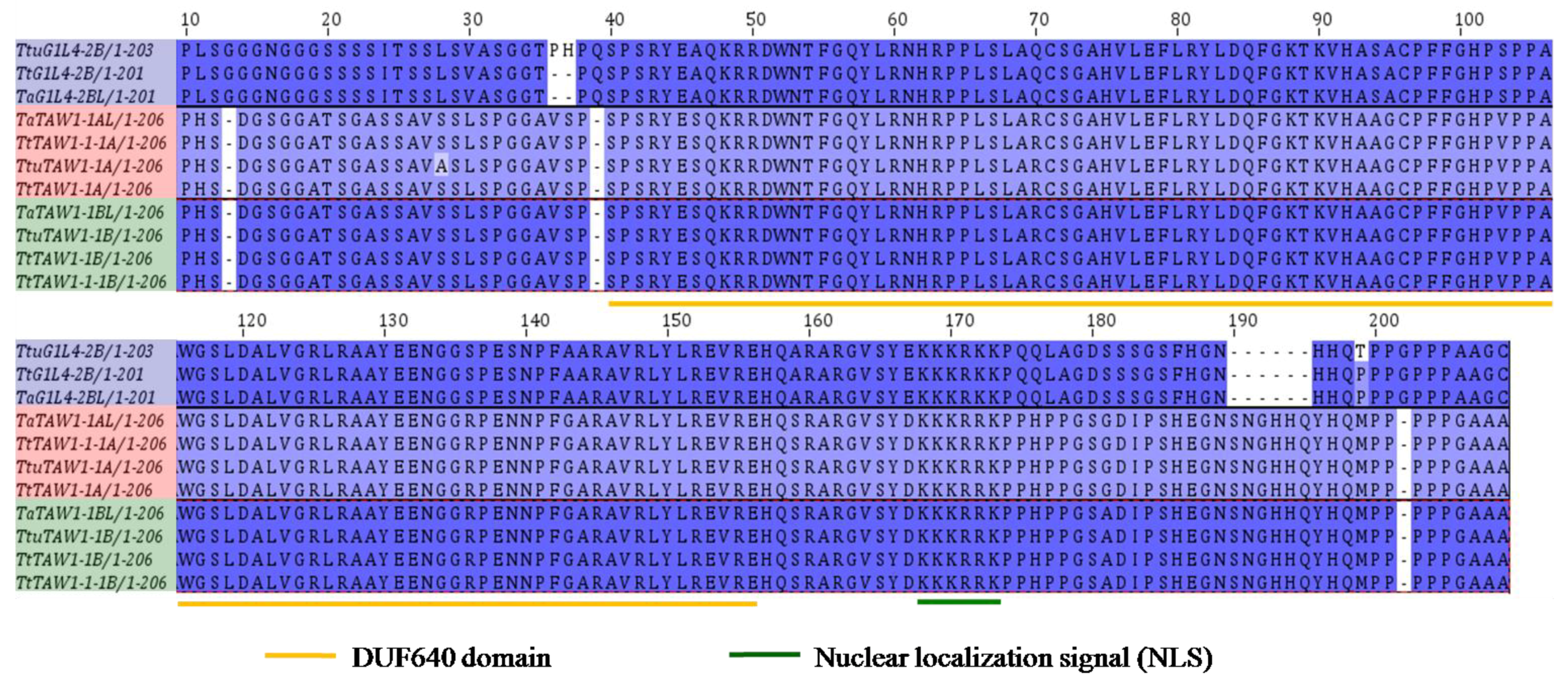 Genes 09 00510 g005