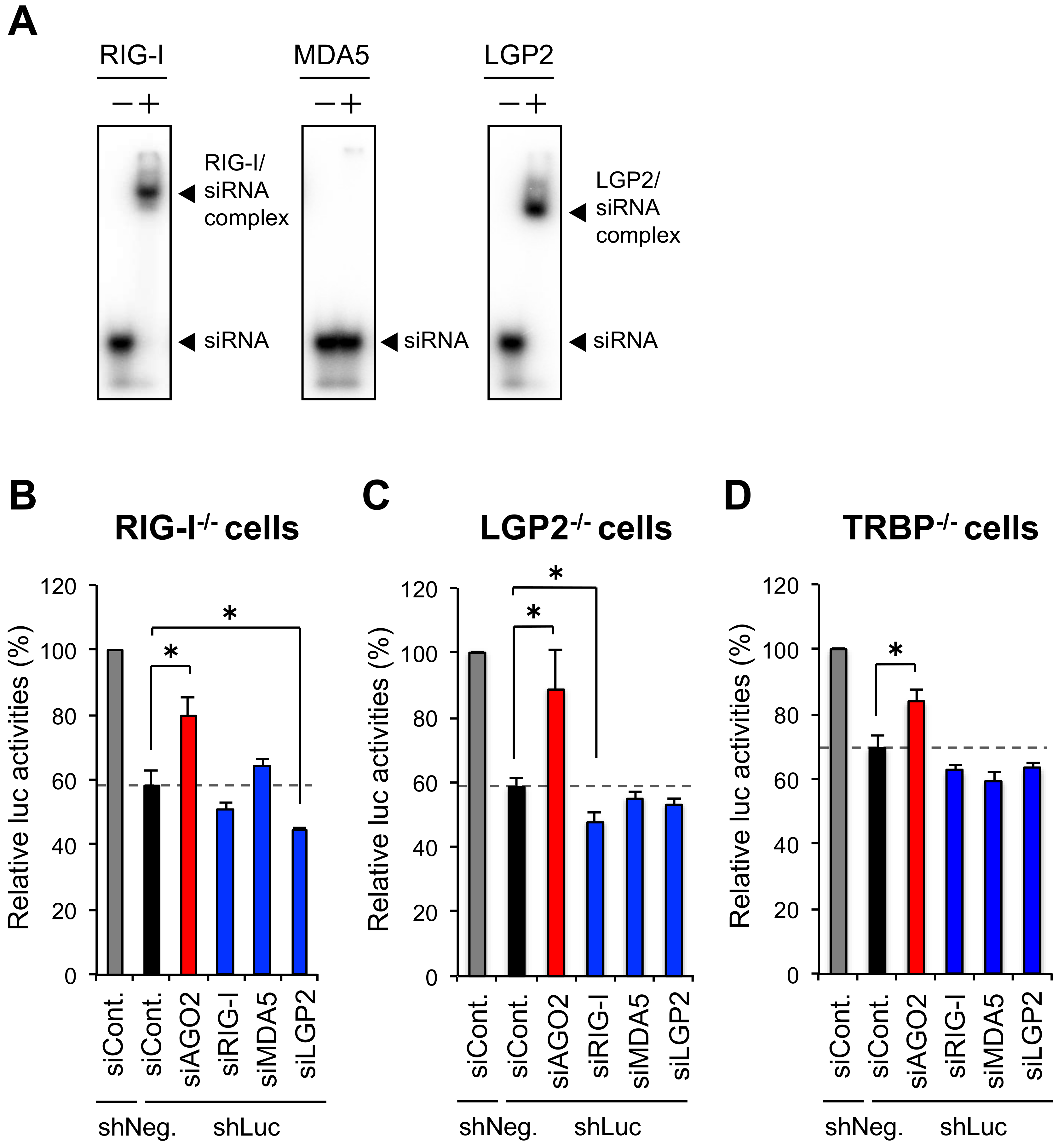 Genes 09 00511 g002 Genes 09 00511 g002