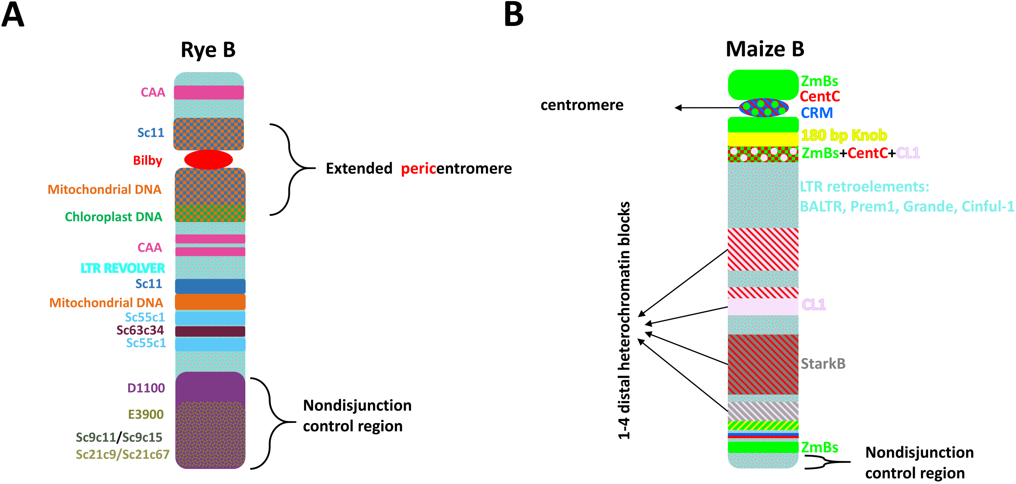 Genes 09 00515 g001