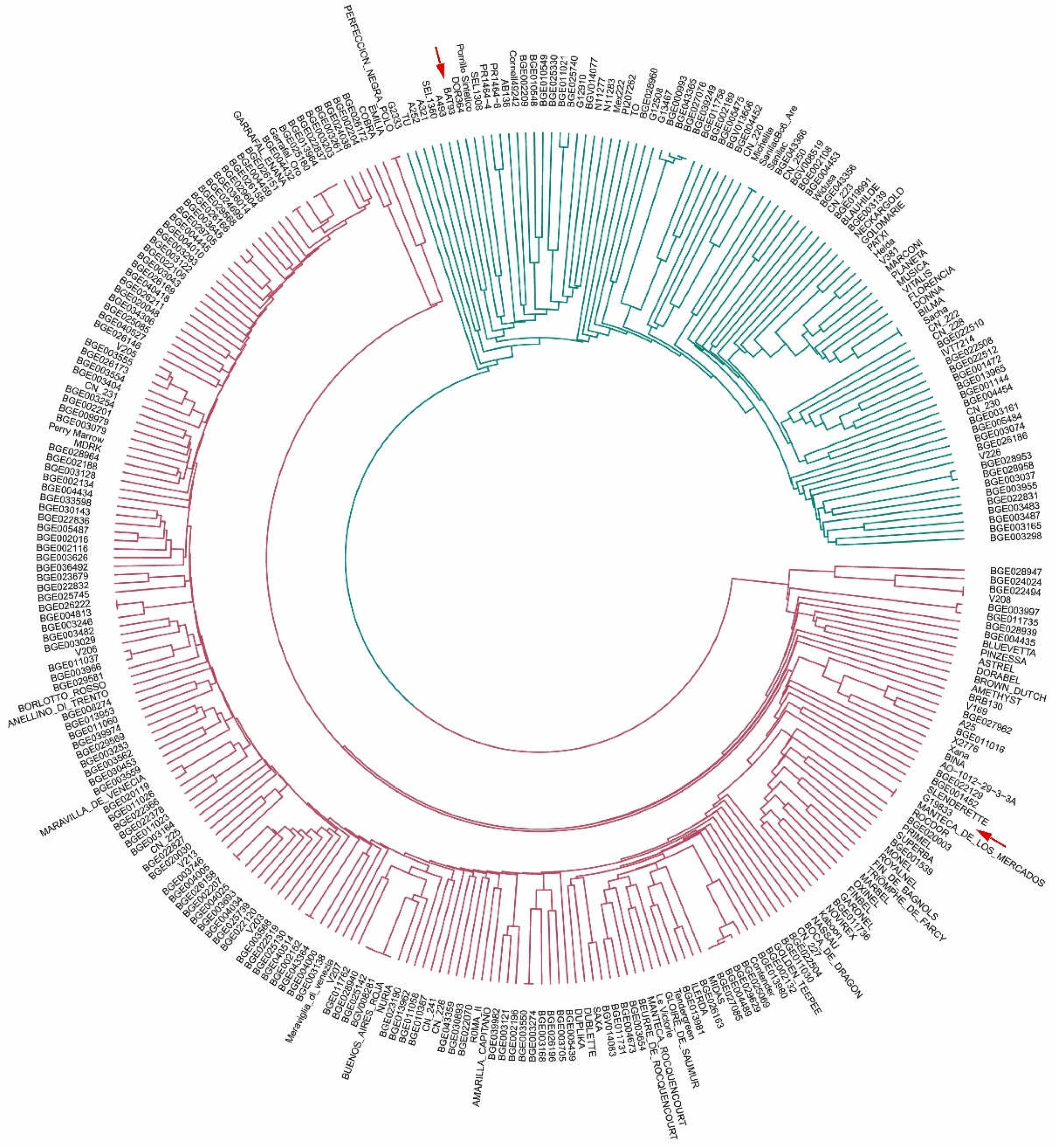 Genes 09 00518 g004