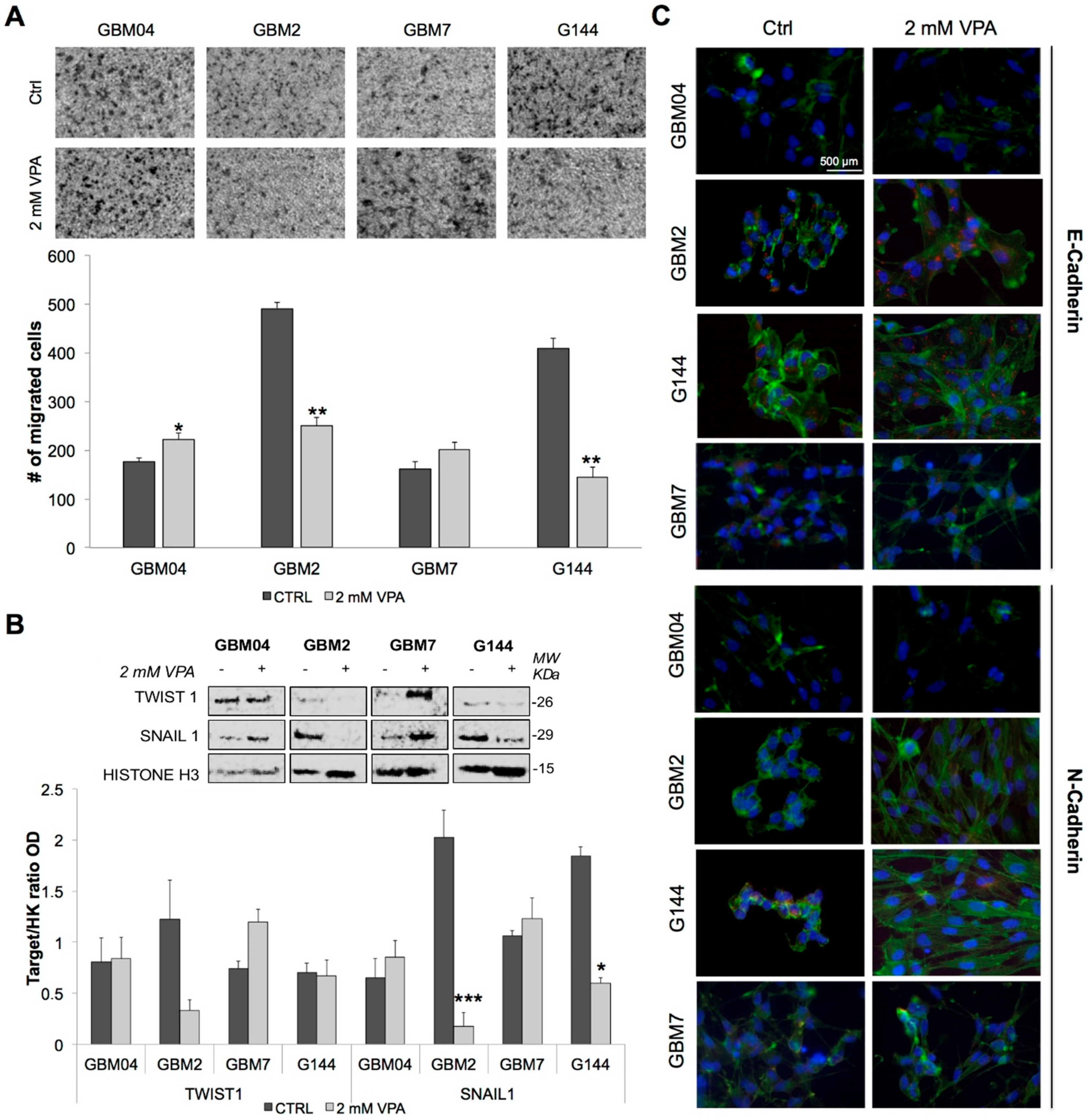 Genes 09 00522 g004 Genes 09 00522 g004