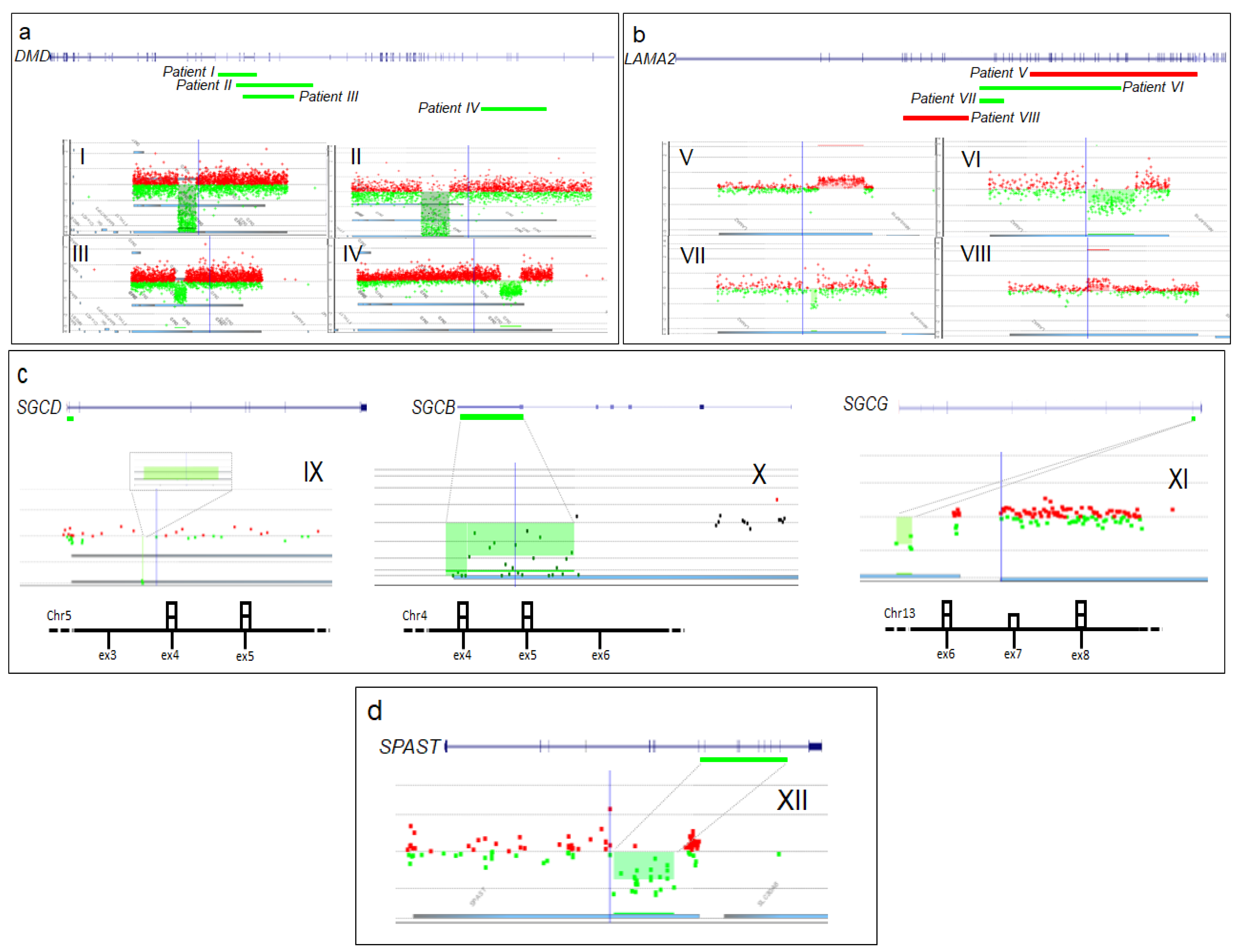 Genes 09 00524 g001 Genes 09 00524 g001
