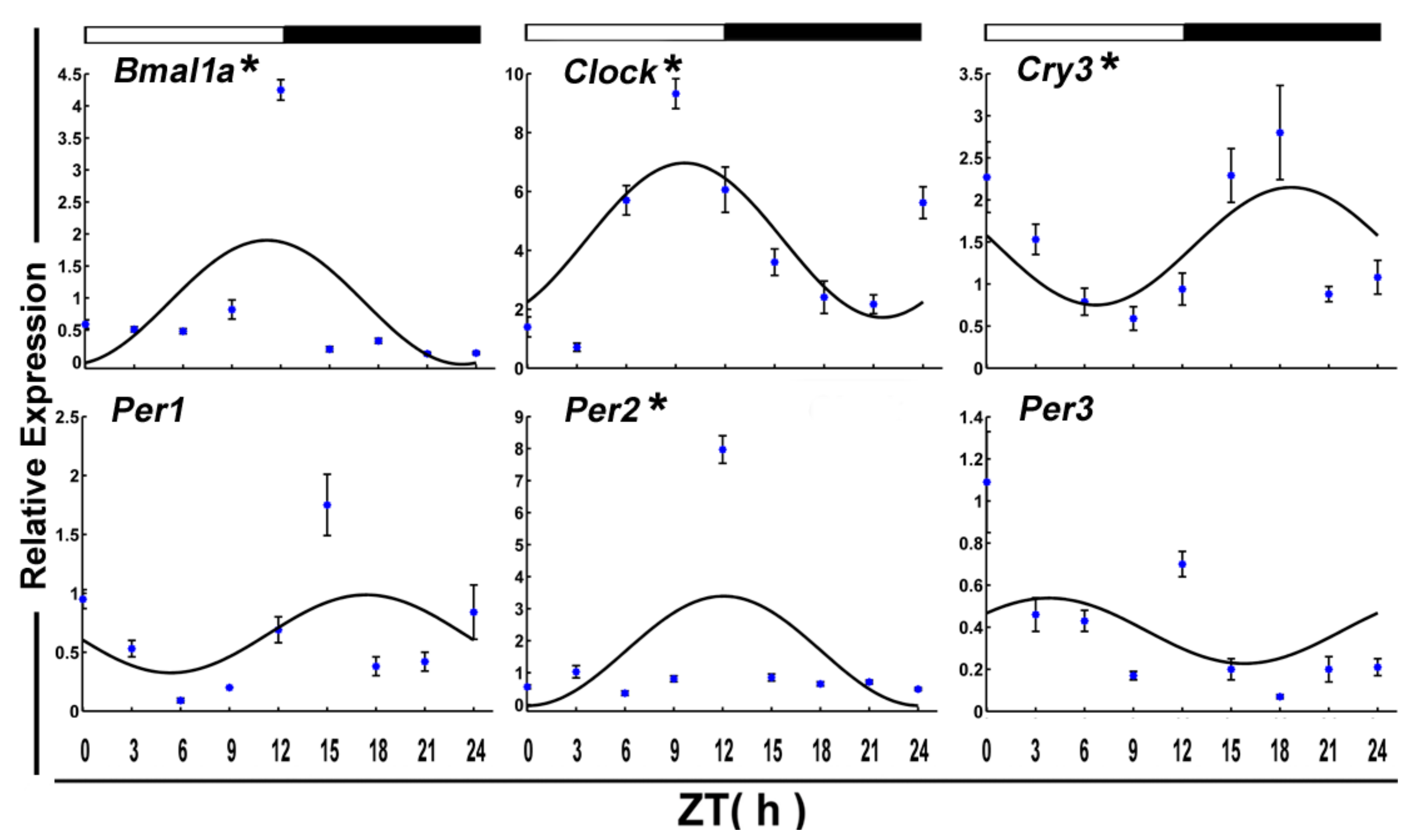 Genes 09 00526 g003 Genes 09 00526 g003