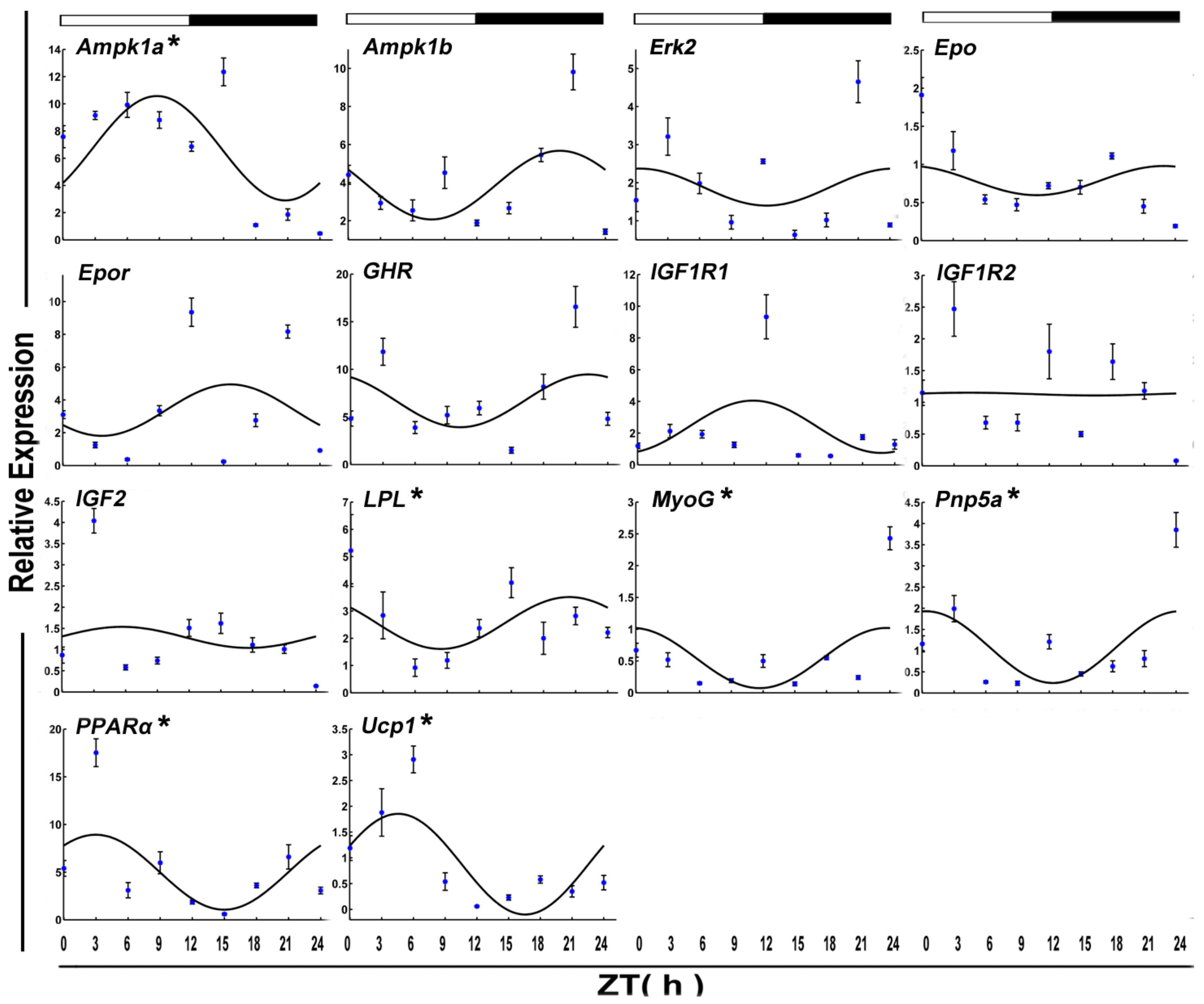 Genes 09 00526 g006 Genes 09 00526 g006