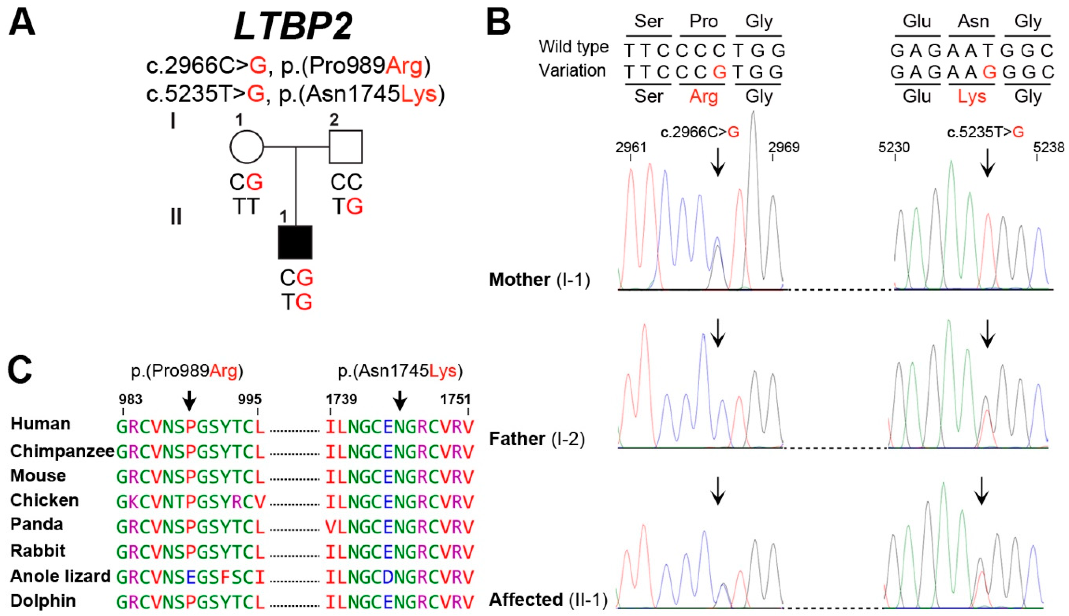 Genes 09 00527 g002 Genes 09 00527 g002