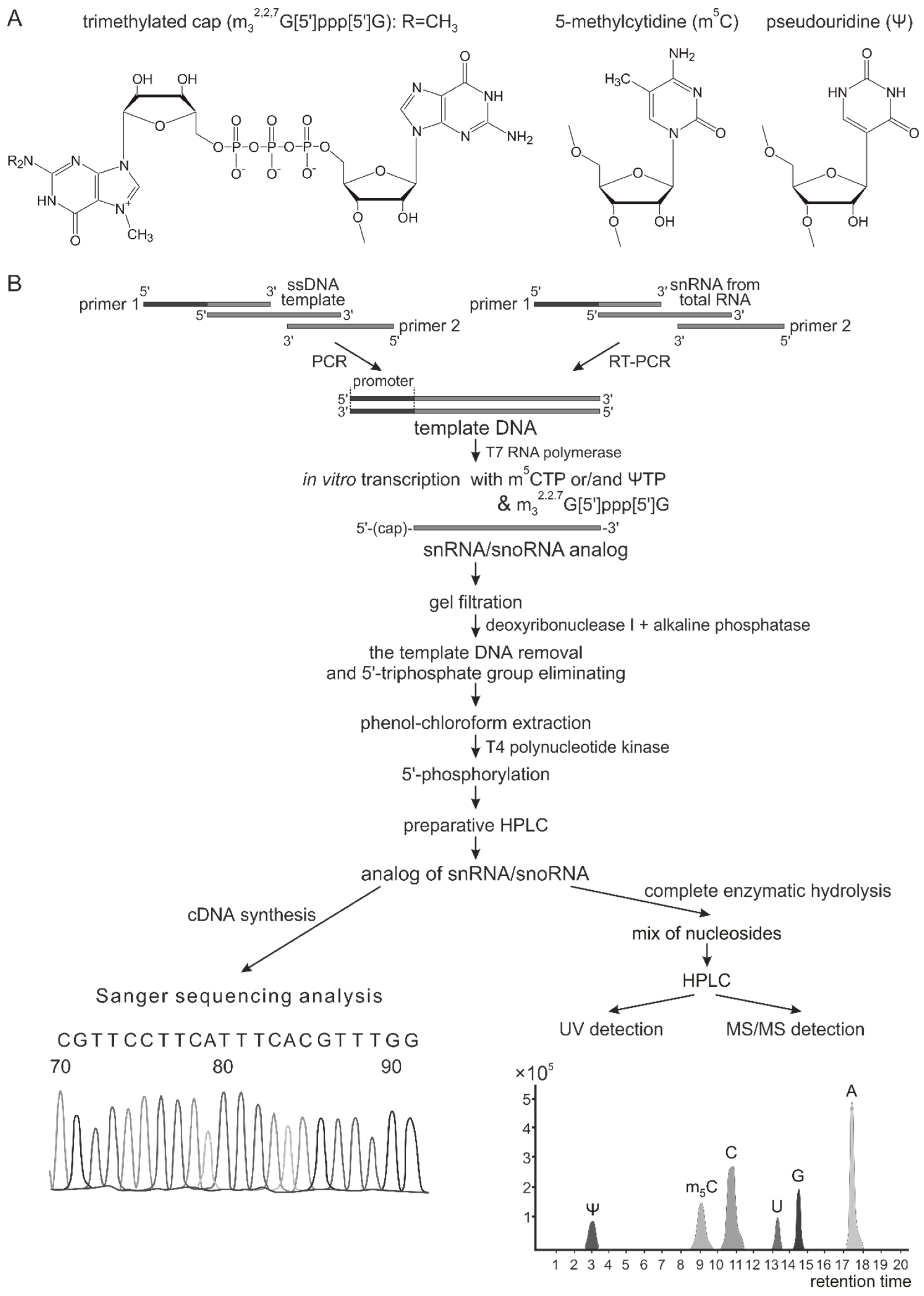 Genes 09 00531 g001