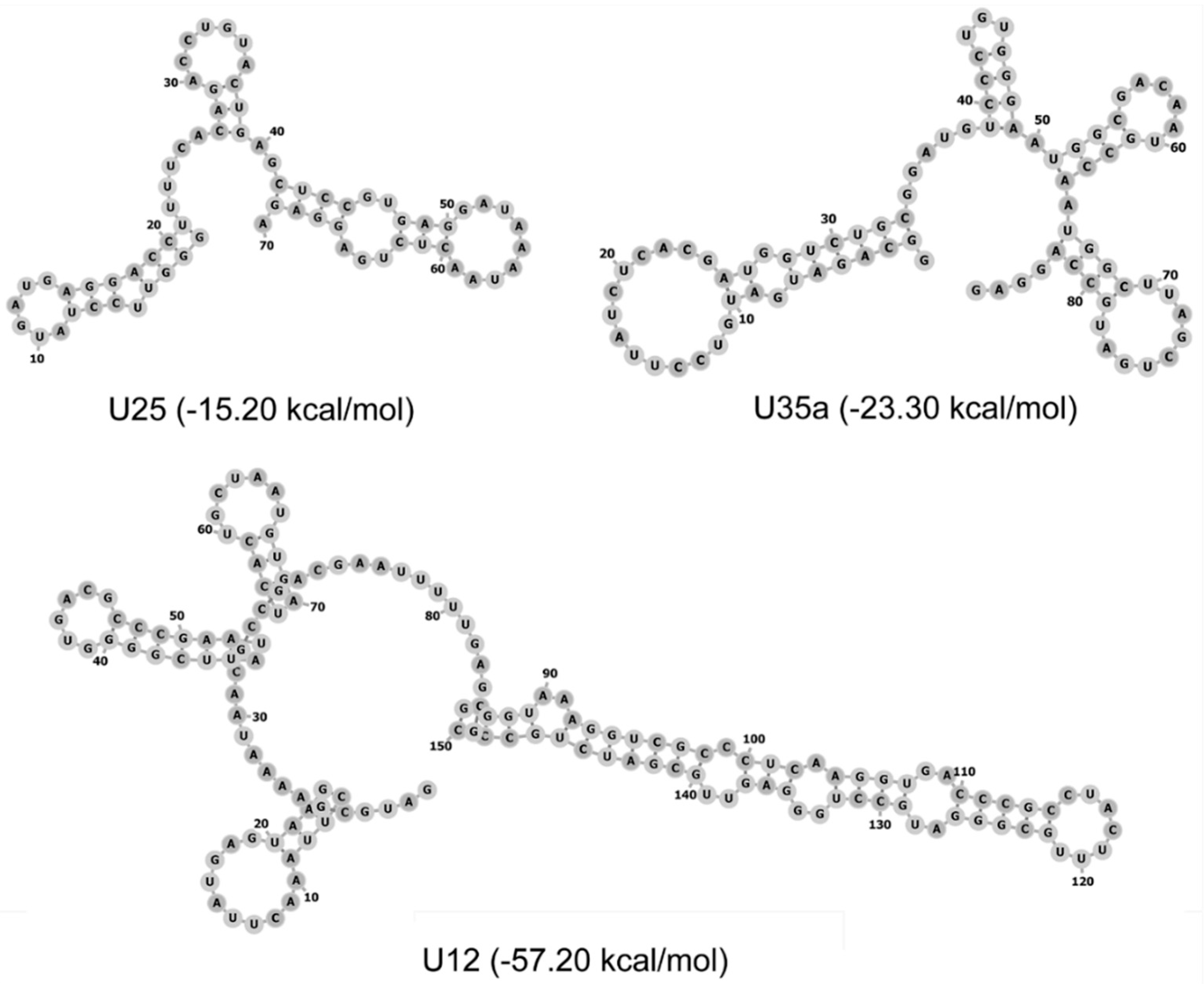 Genes 09 00531 g005