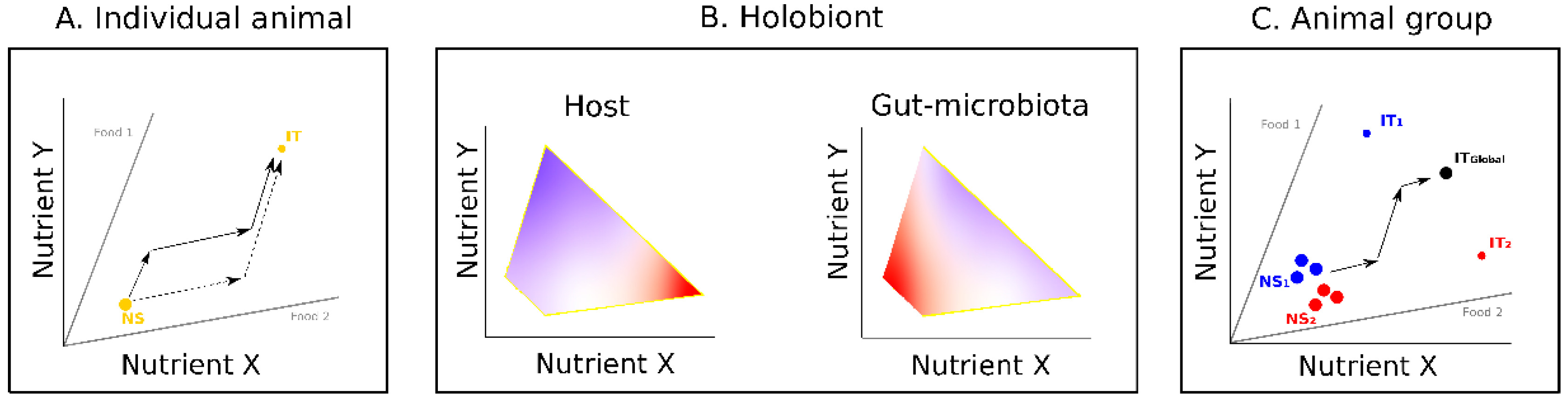 Genes 09 00534 g001 Genes 09 00534 g001