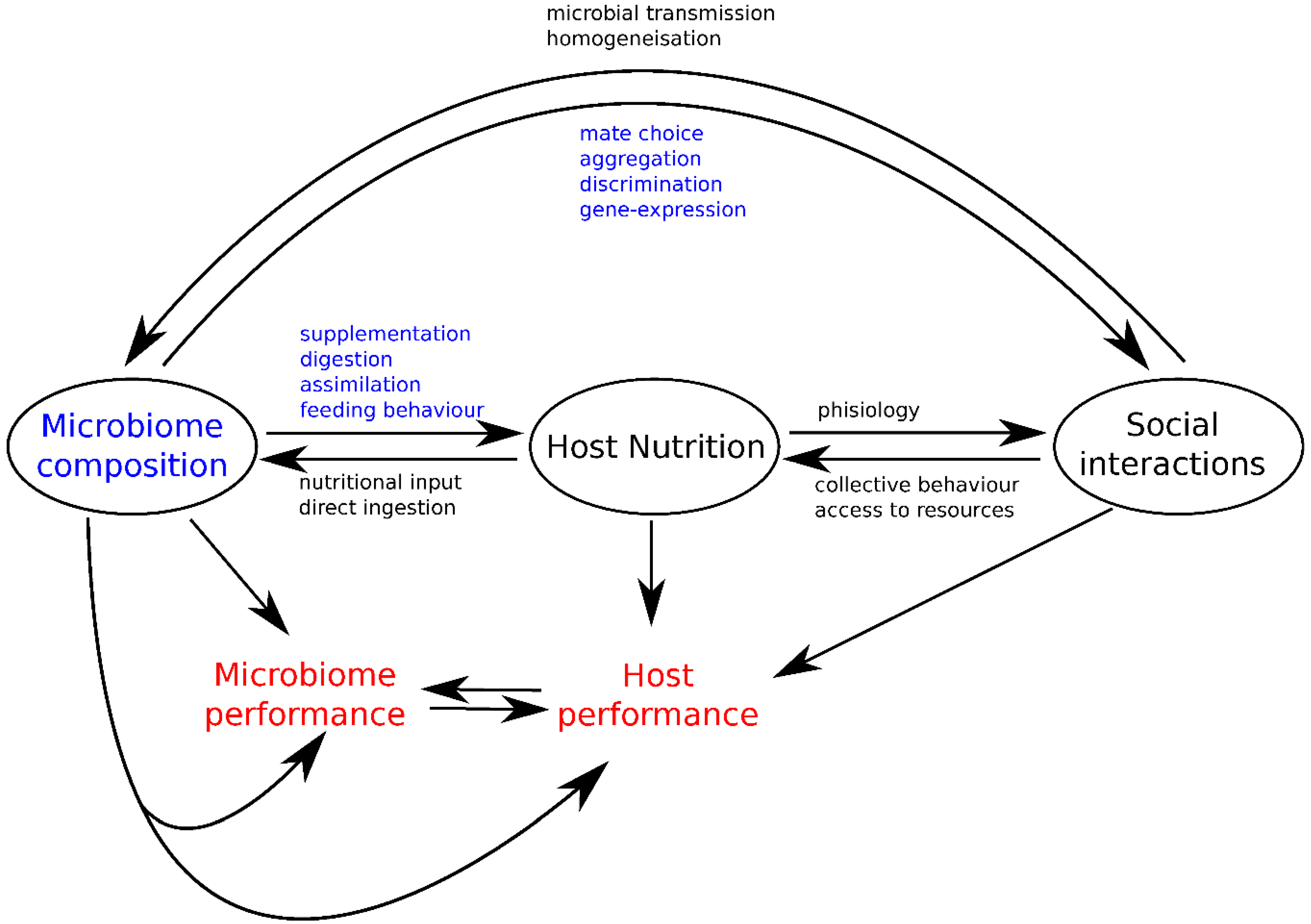 Genes 09 00534 g004 Genes 09 00534 g004