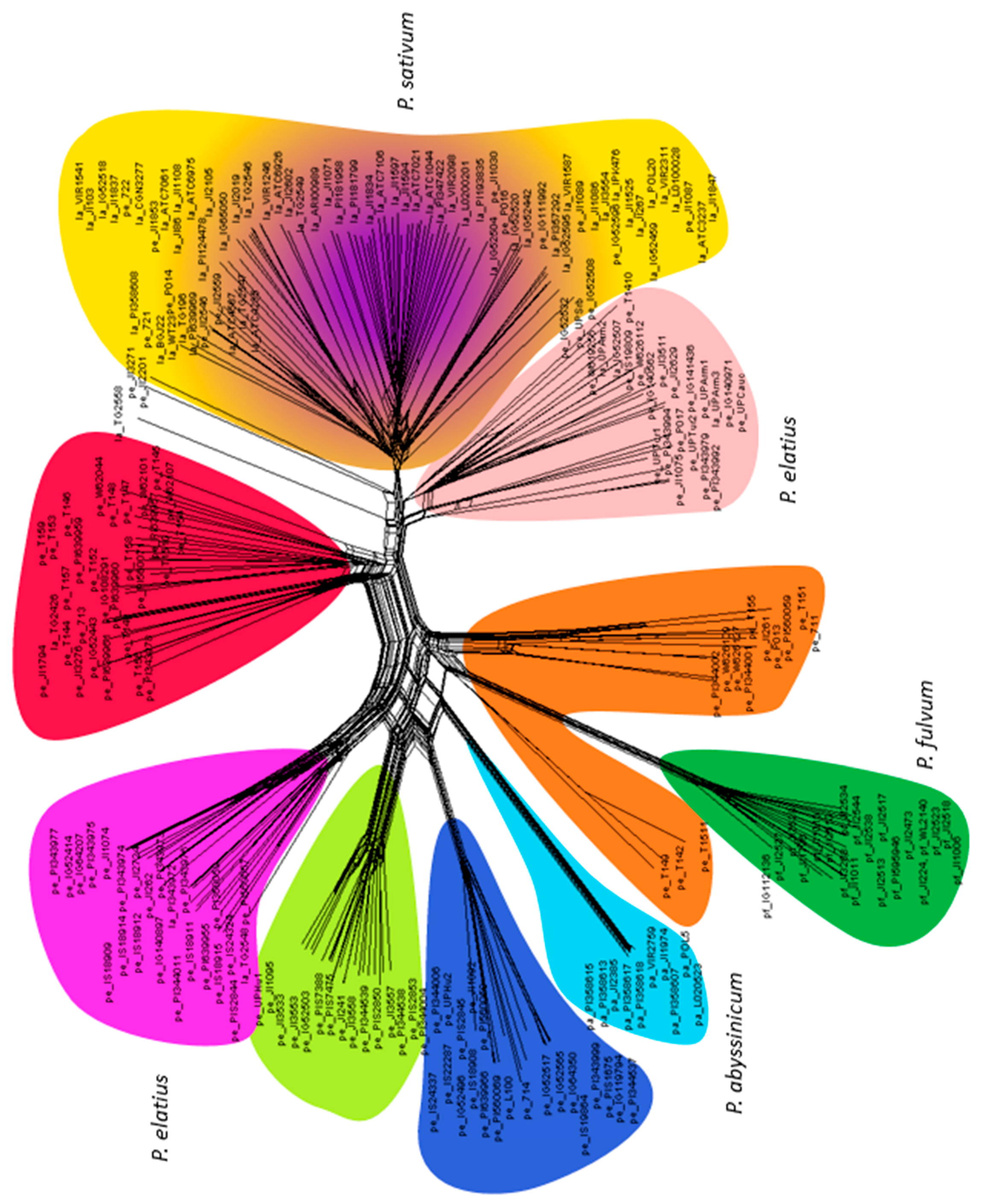 Genes 09 00535 g003