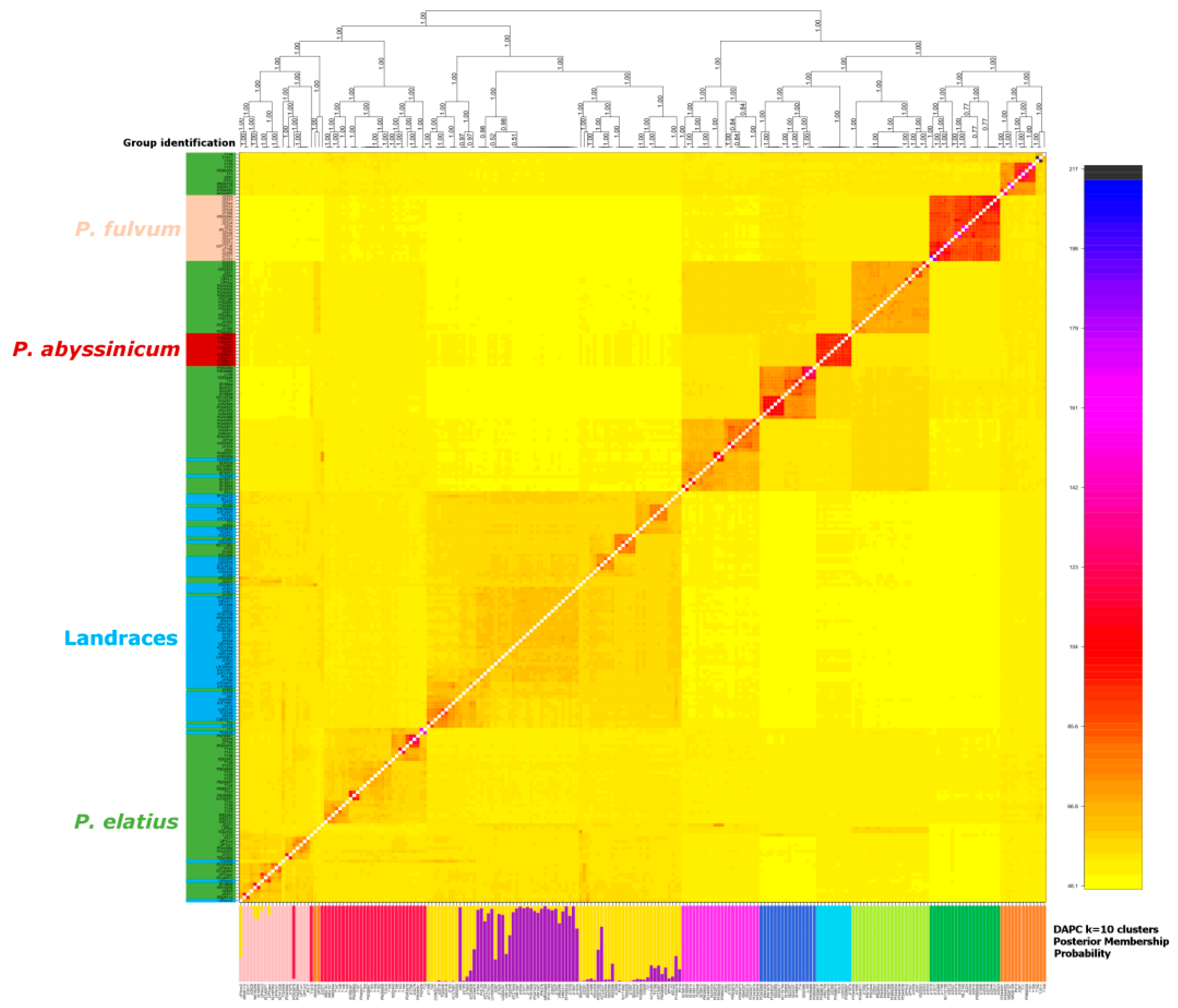 Genes 09 00535 g004