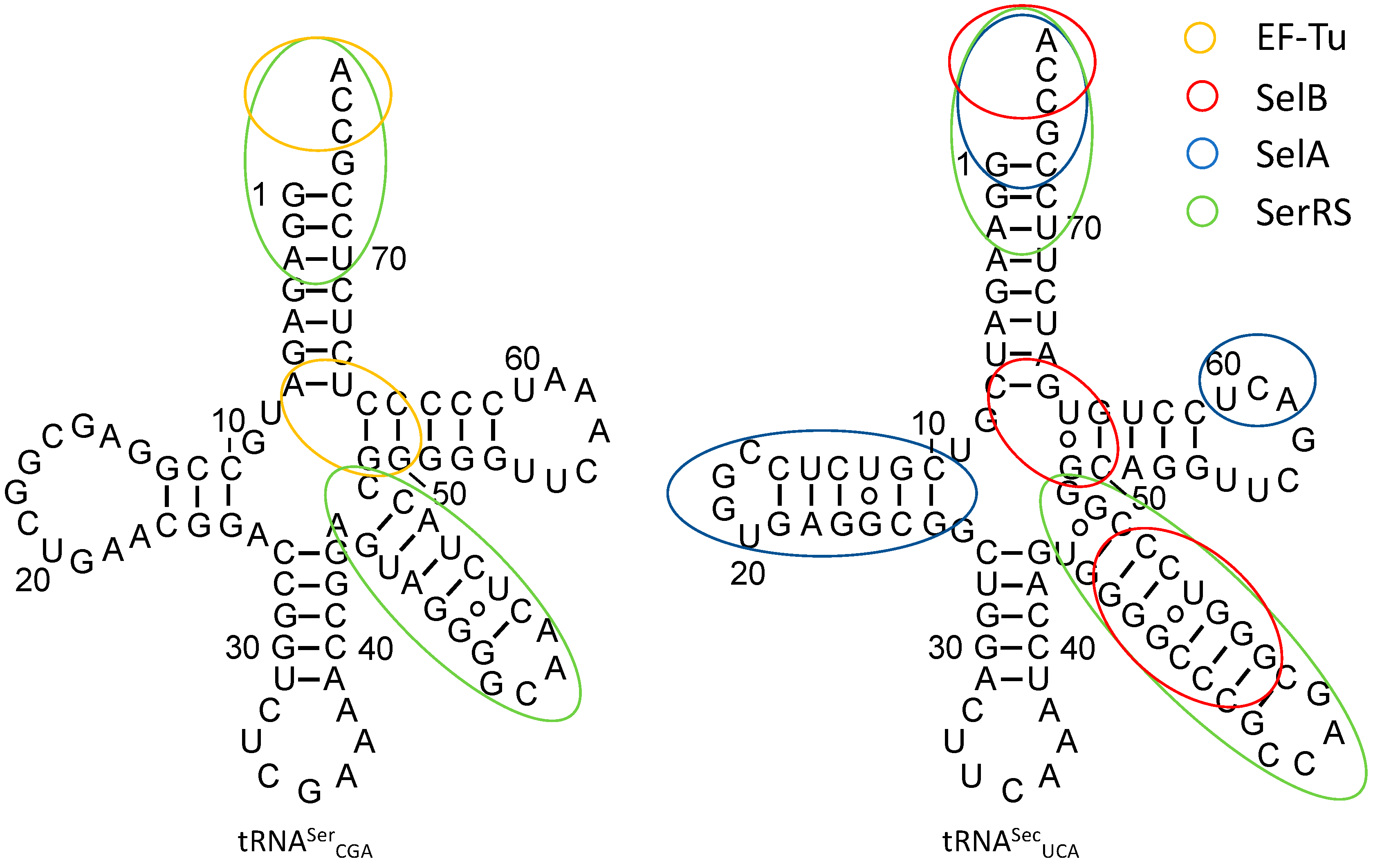 Genes 09 00537 g003