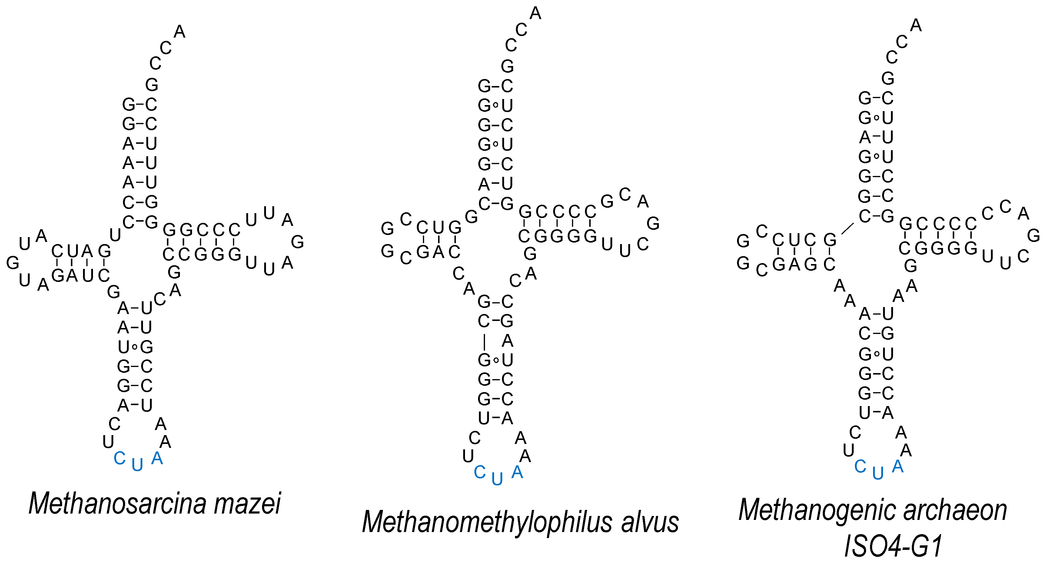 Genes 09 00537 g004 Genes 09 00537 g004