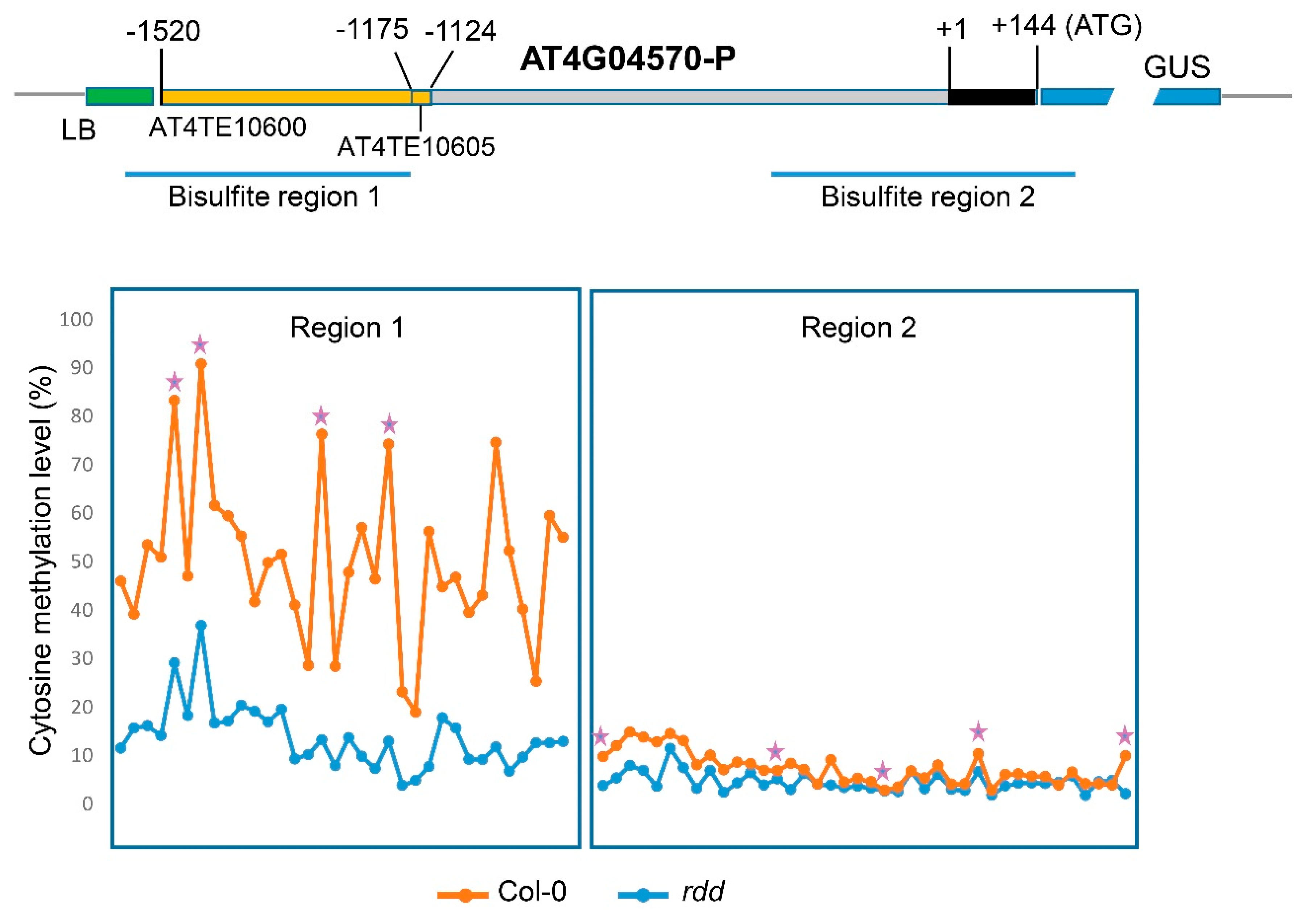 Genes 09 00550 g002 Genes 09 00550 g002