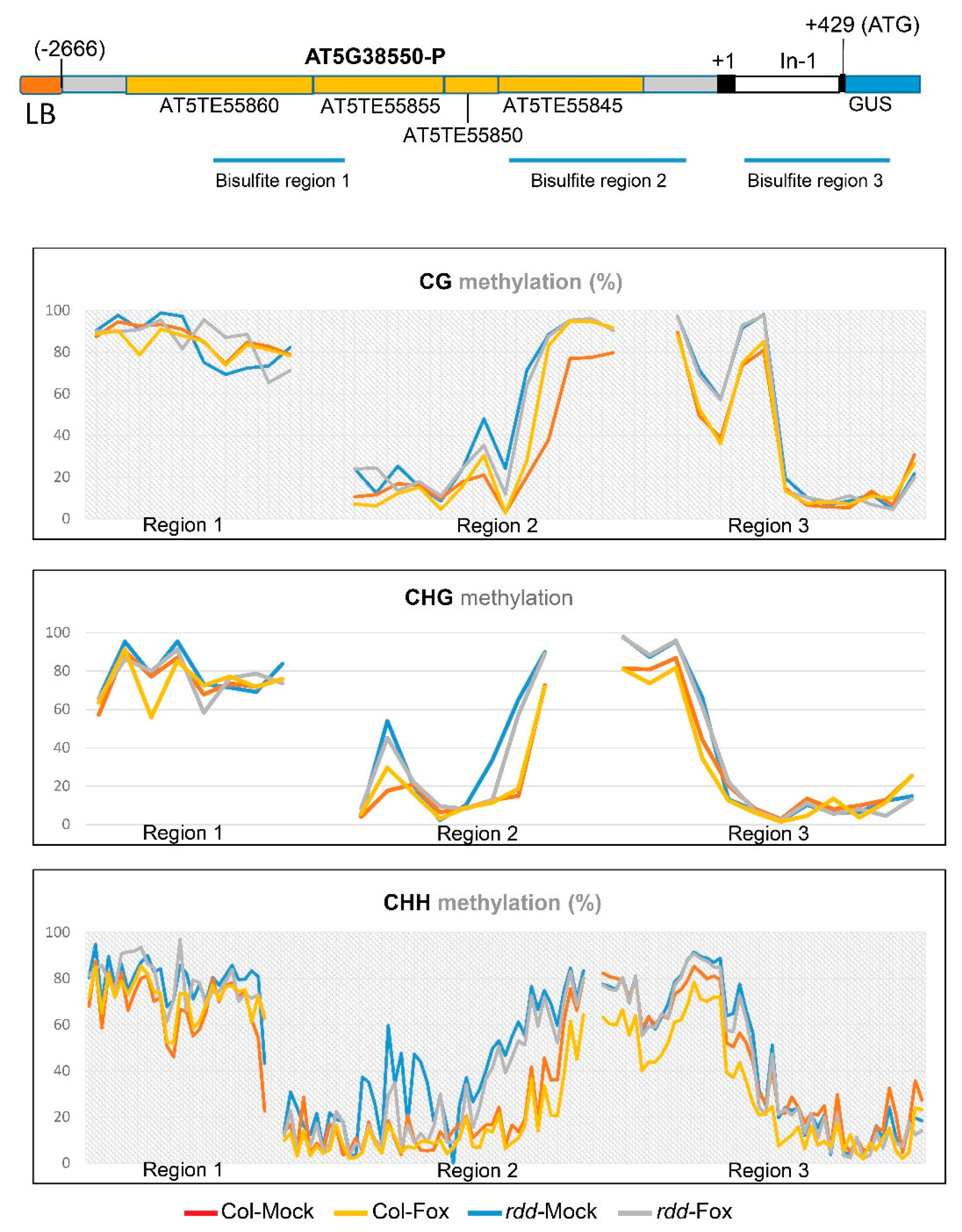 Genes 09 00550 g003 Genes 09 00550 g003