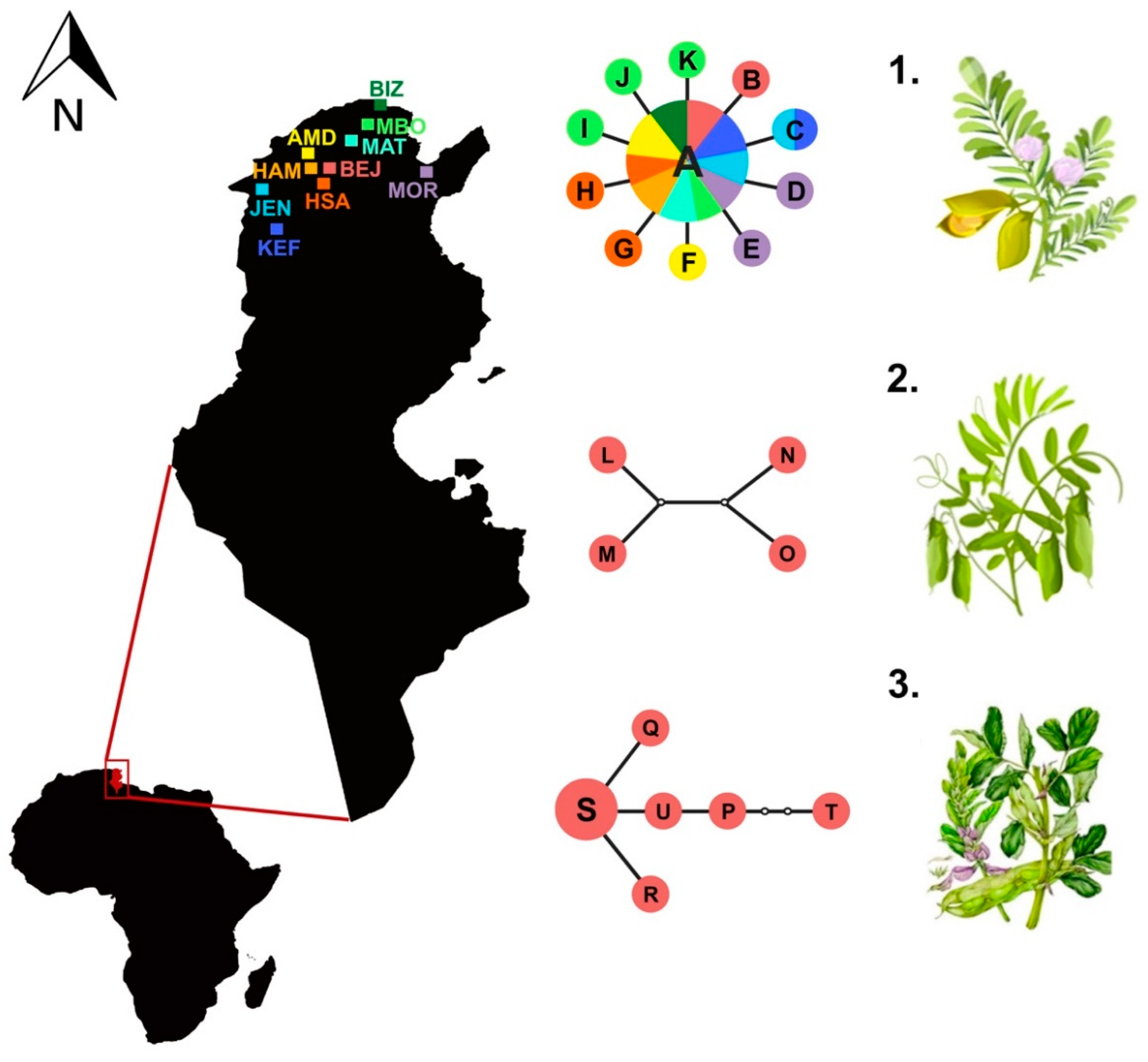 Genes 09 00554 g001