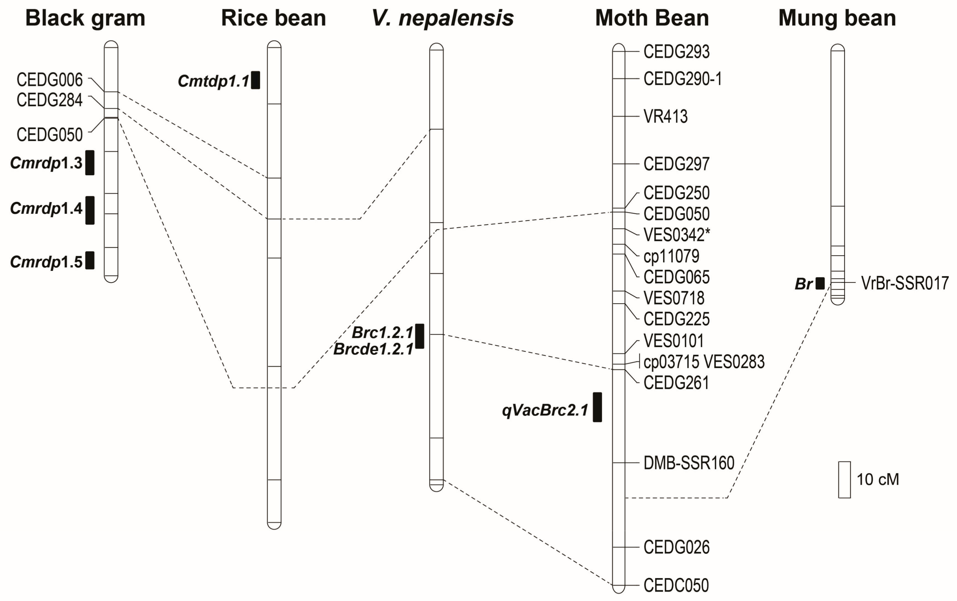Genes 09 00555 g005 Genes 09 00555 g005