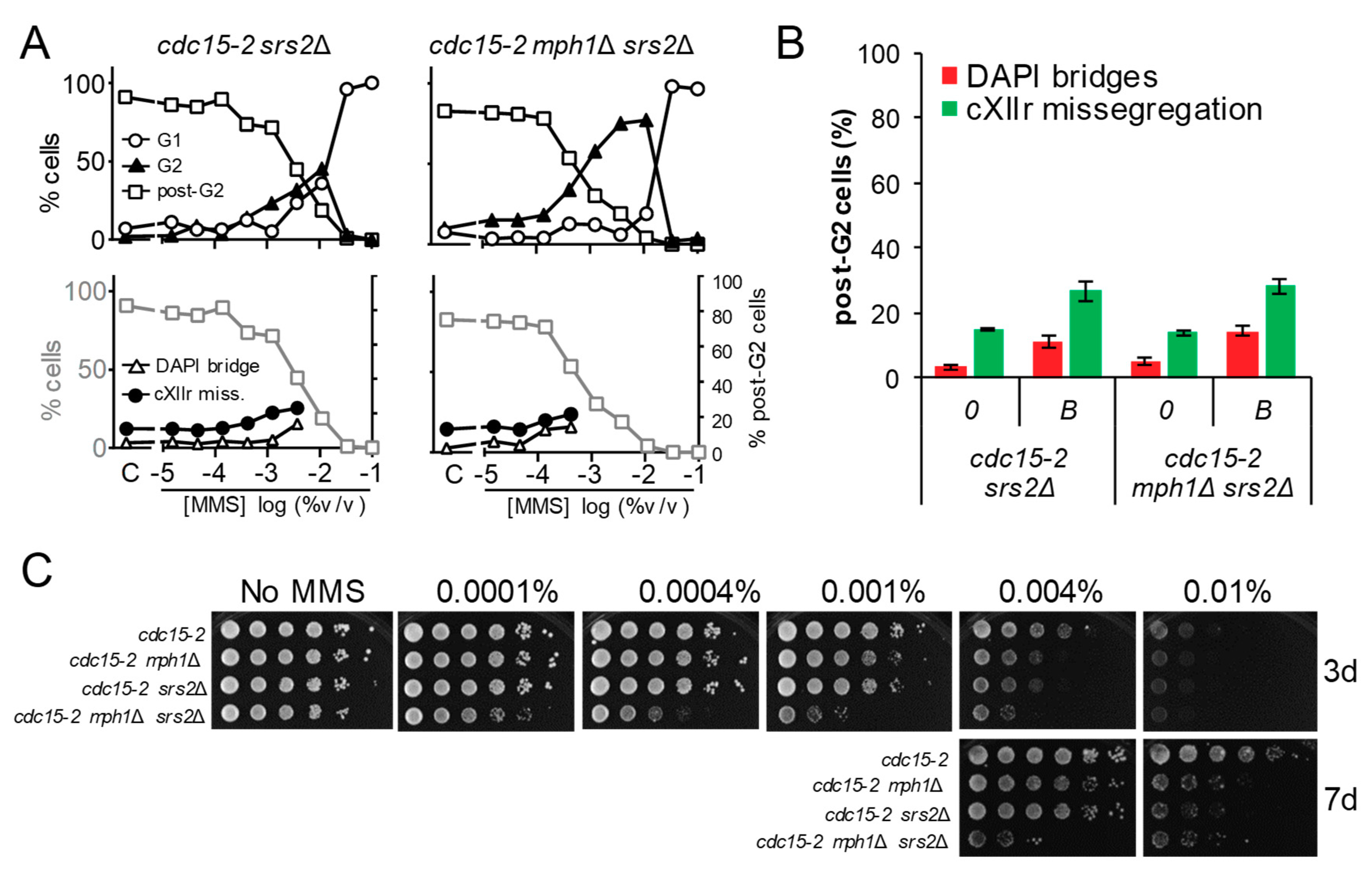Genes 09 00558 g004