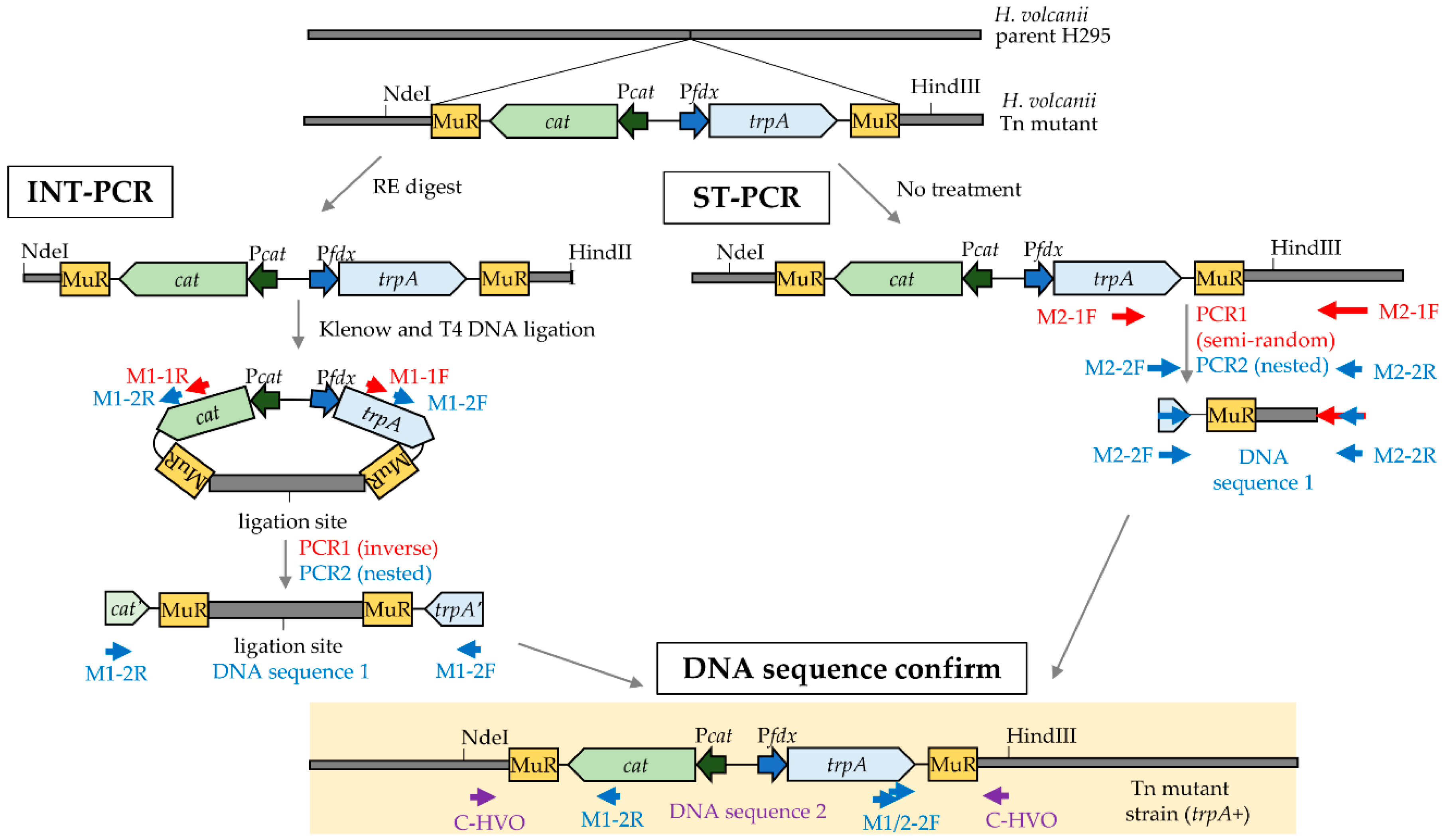 Genes 09 00562 g001 Genes 09 00562 g001