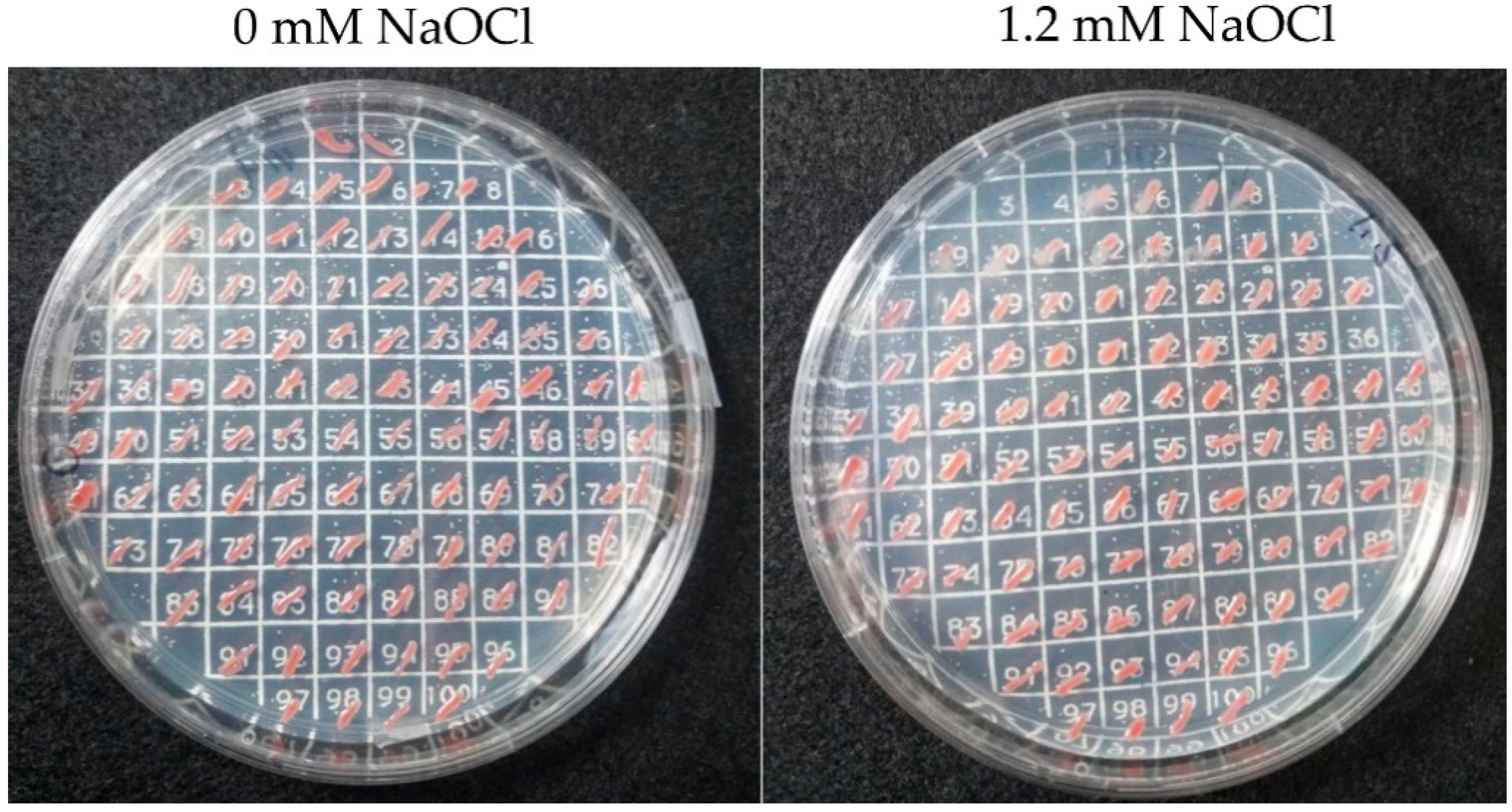 Genes 09 00562 g002 Genes 09 00562 g002