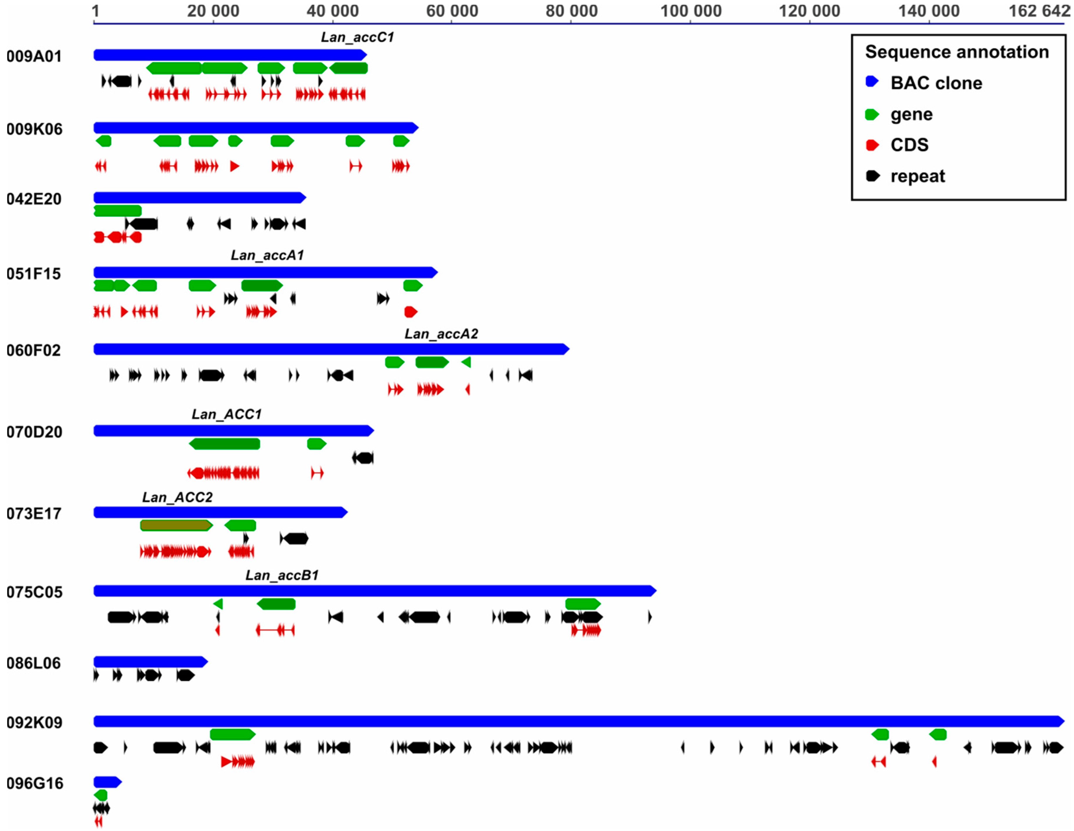 Genes 09 00563 g002