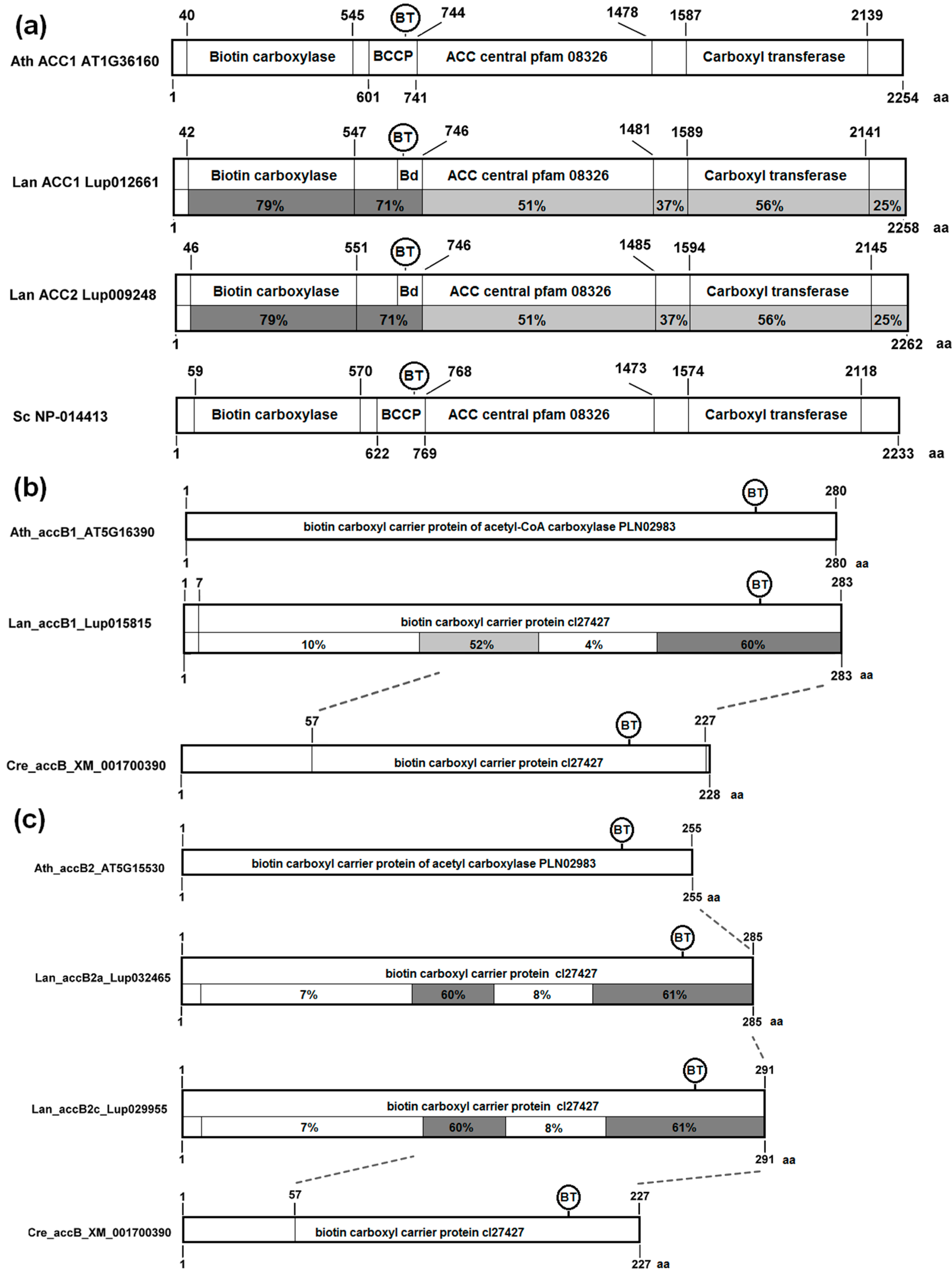 Genes 09 00563 g003