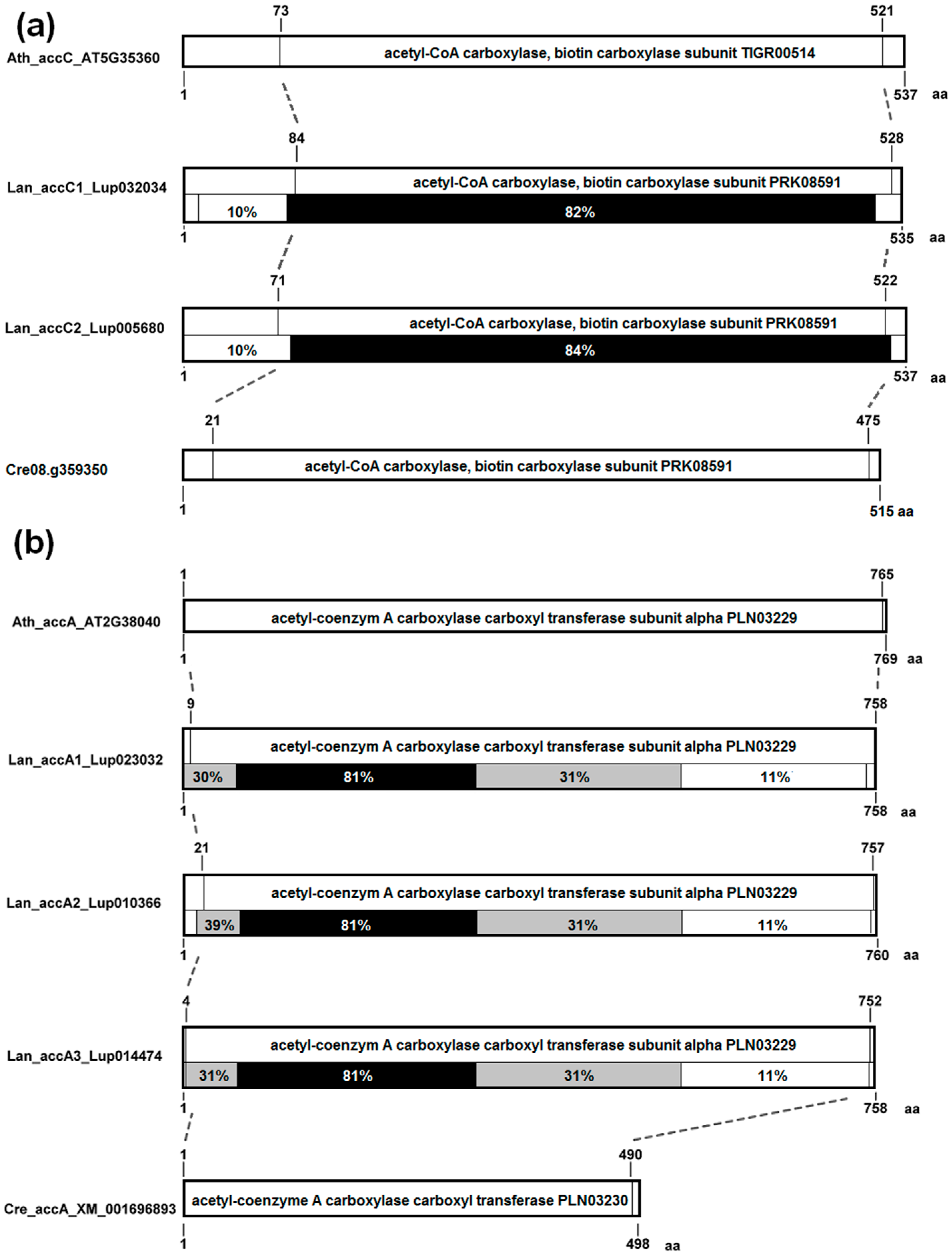 Genes 09 00563 g004
