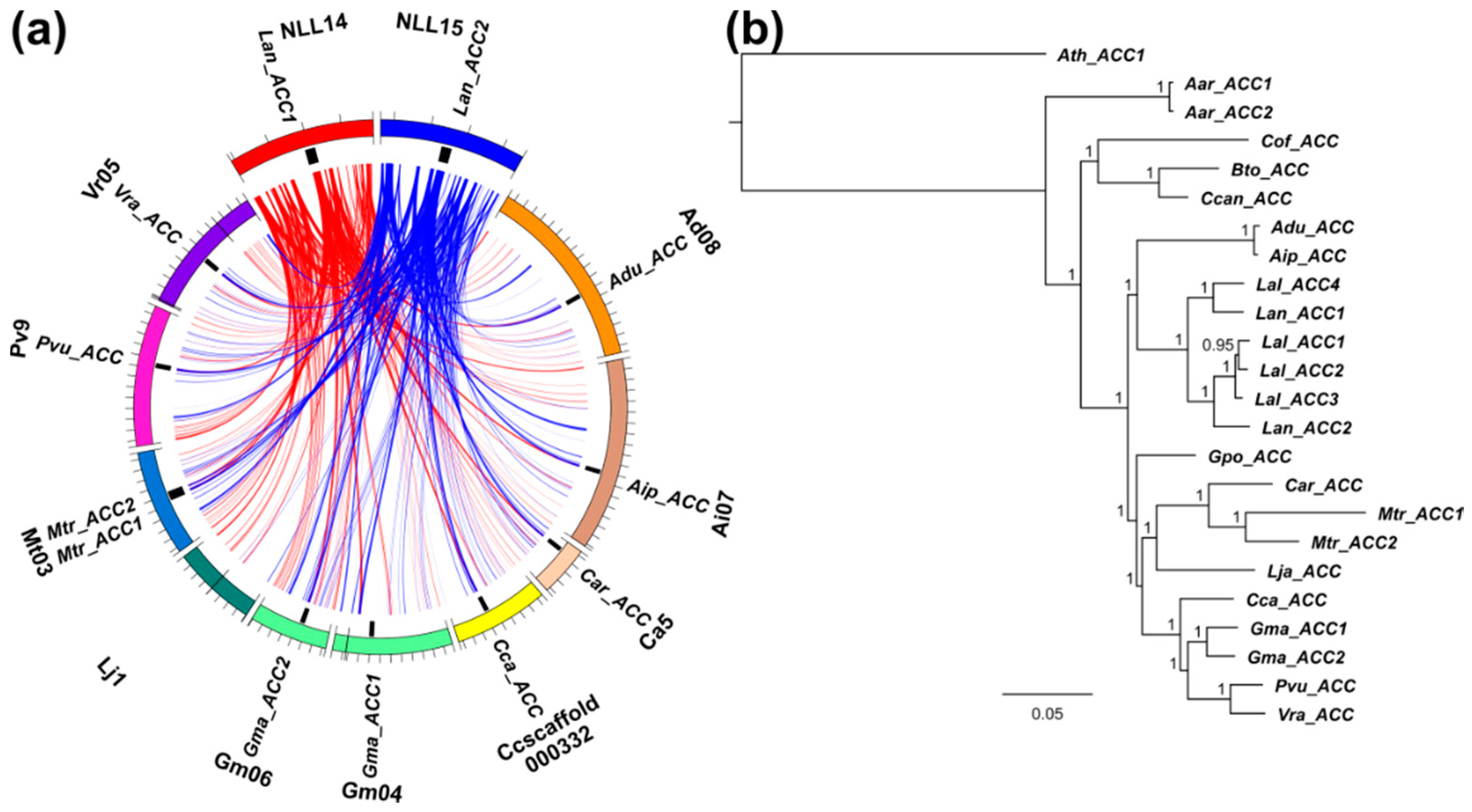 Genes 09 00563 g005