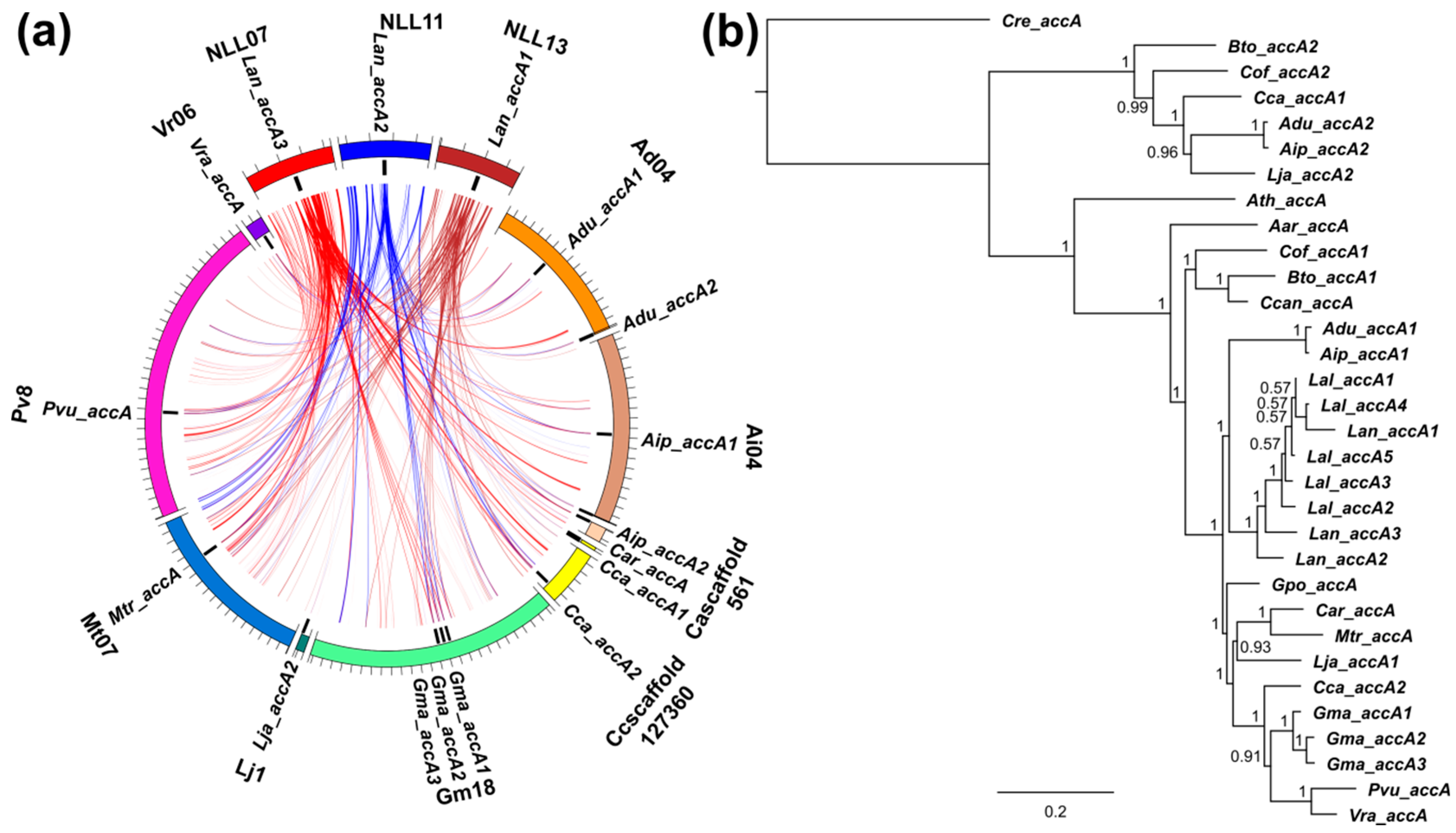 Genes 09 00563 g006