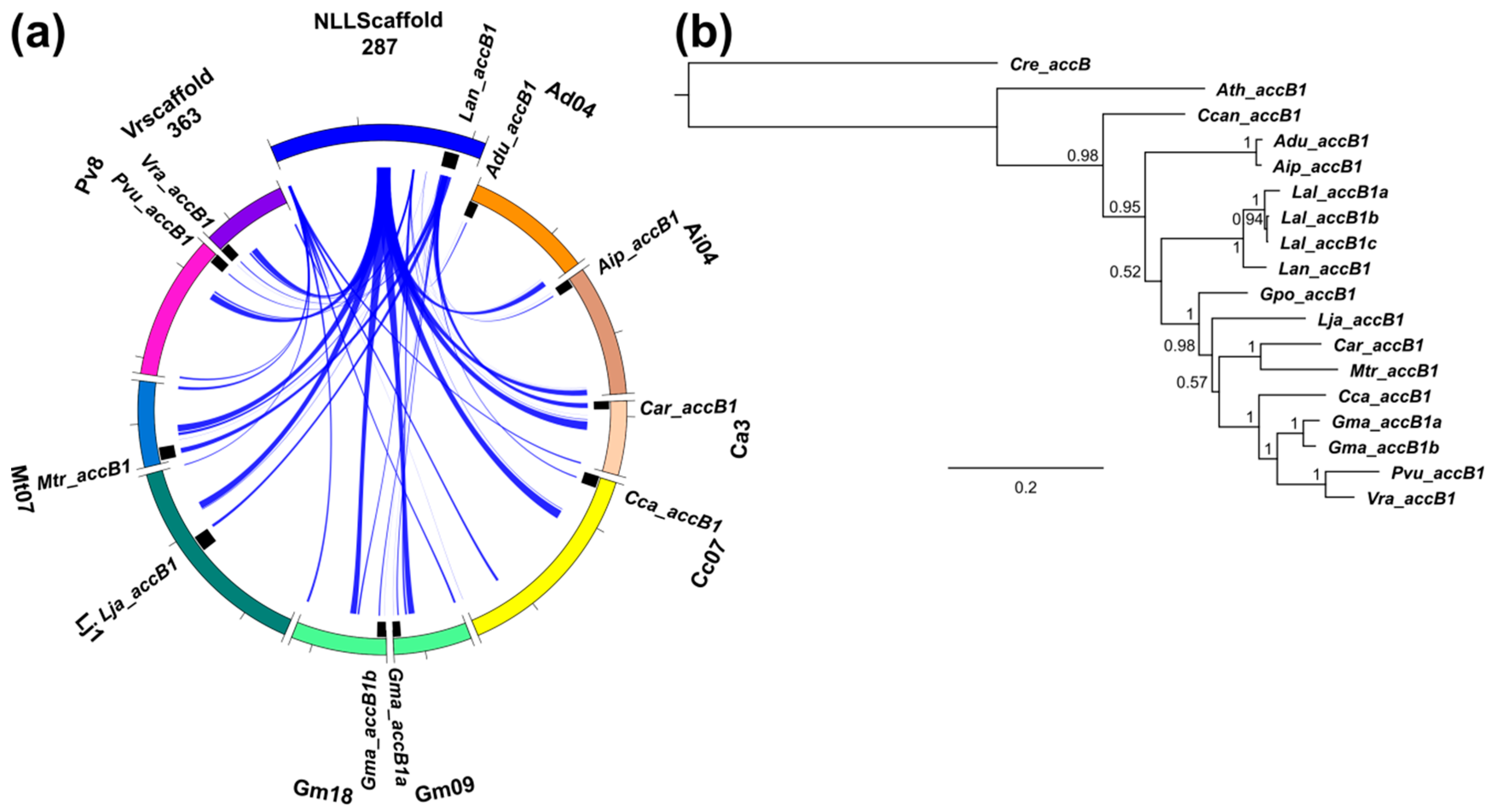Genes 09 00563 g007a
