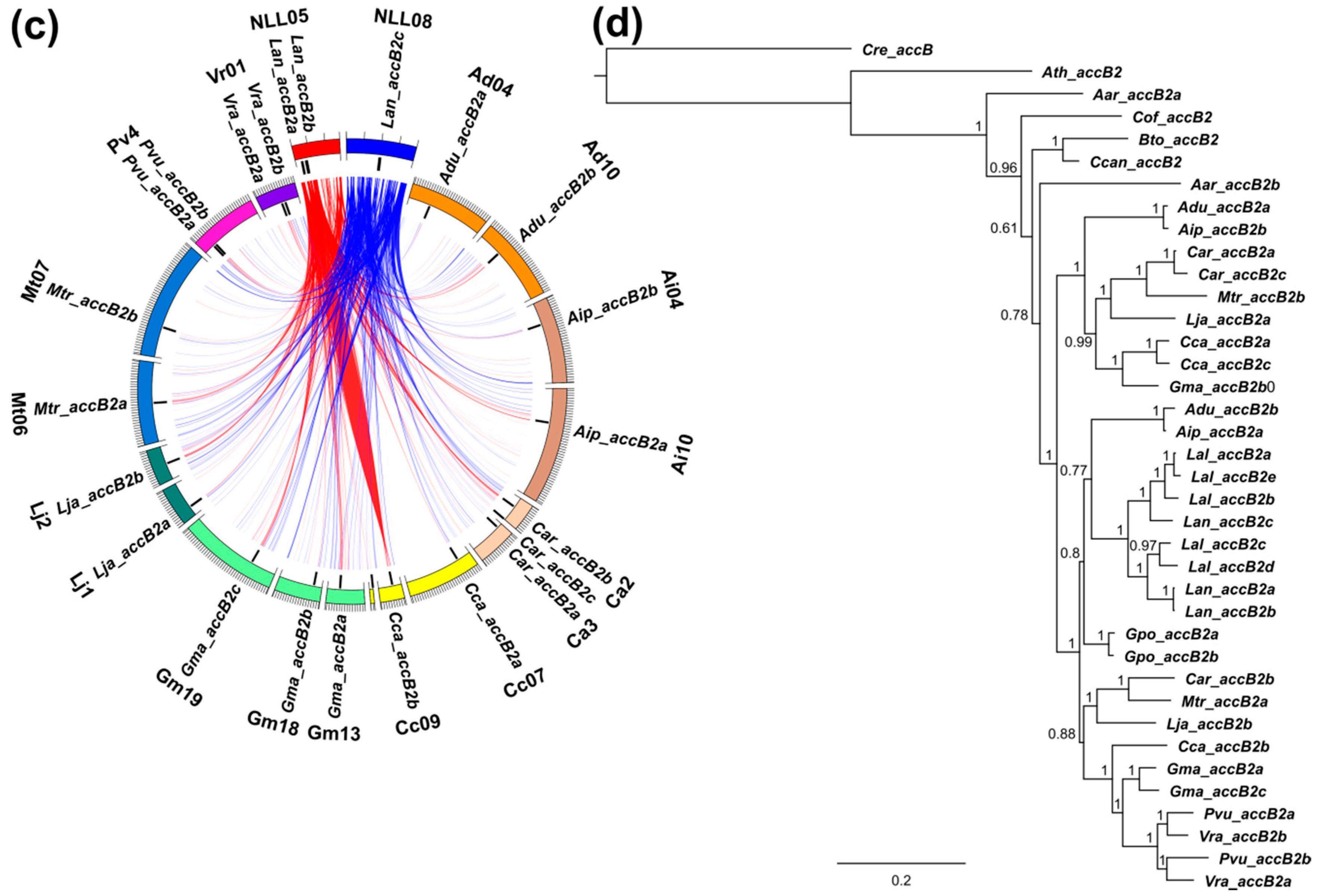 Genes 09 00563 g007b