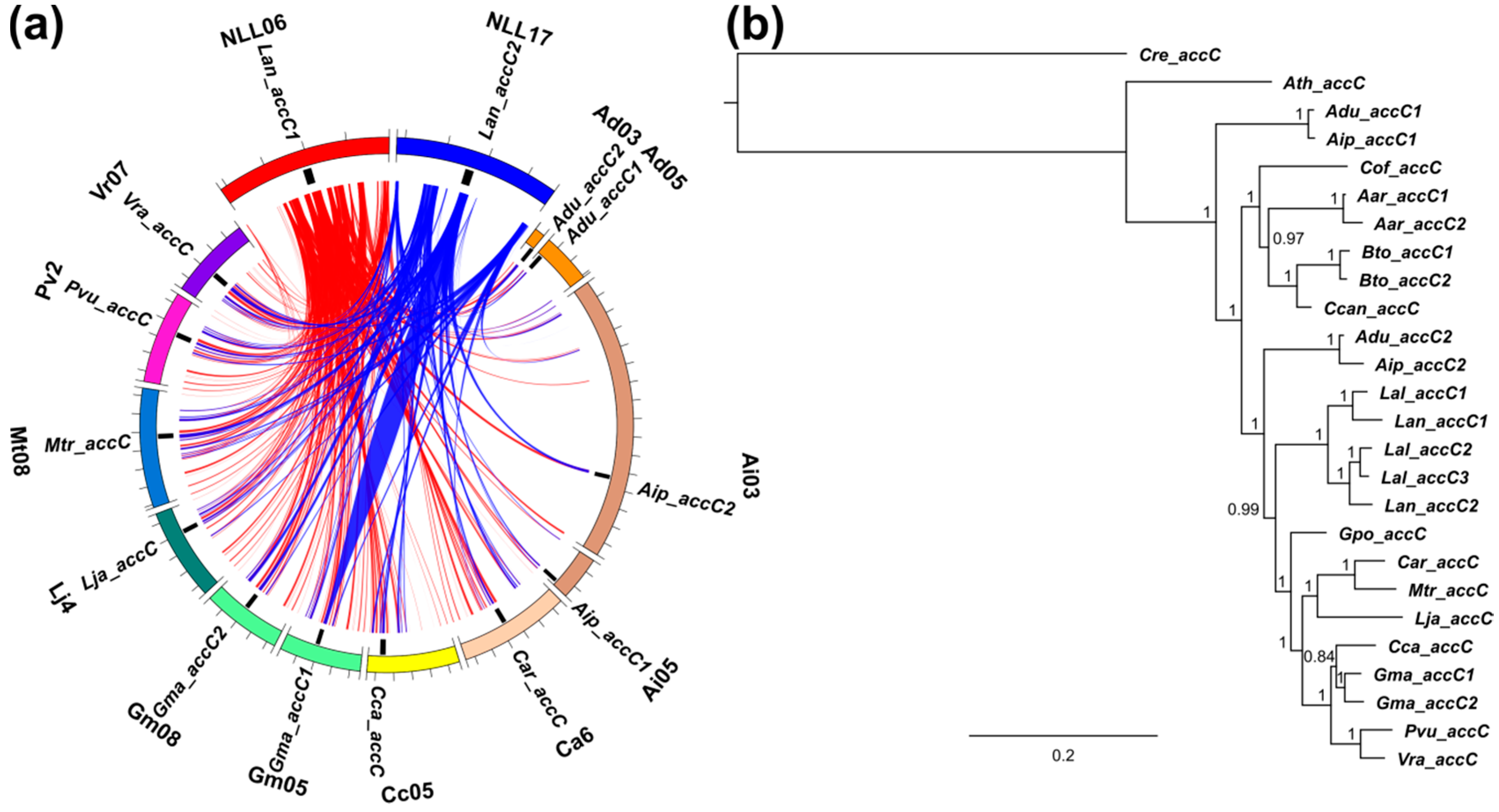 Genes 09 00563 g008