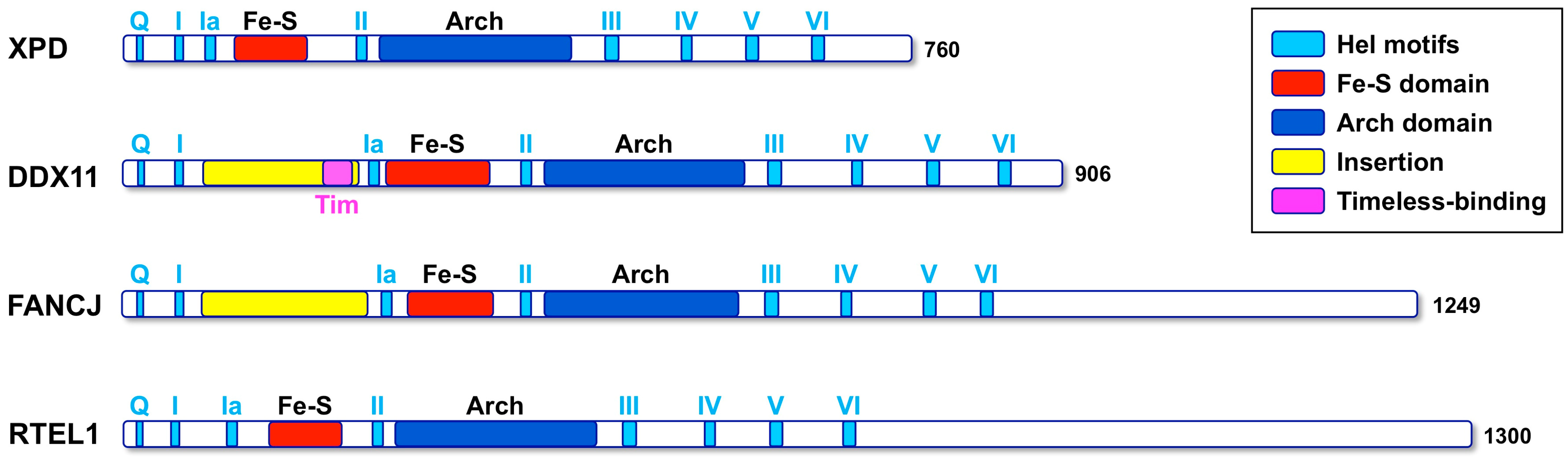 Genes 09 00564 g001 Genes 09 00564 g001