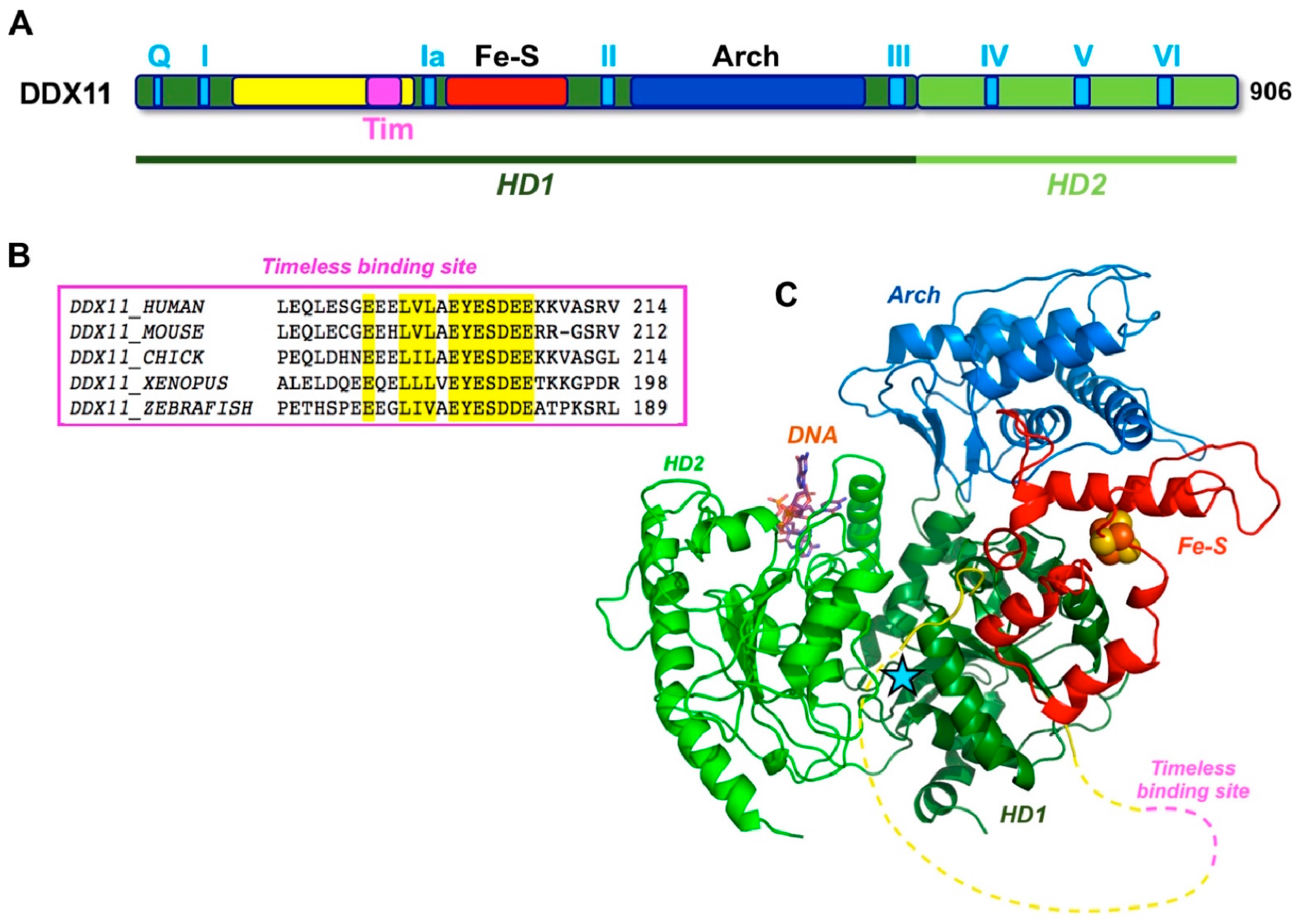 Genes 09 00564 g003 Genes 09 00564 g003