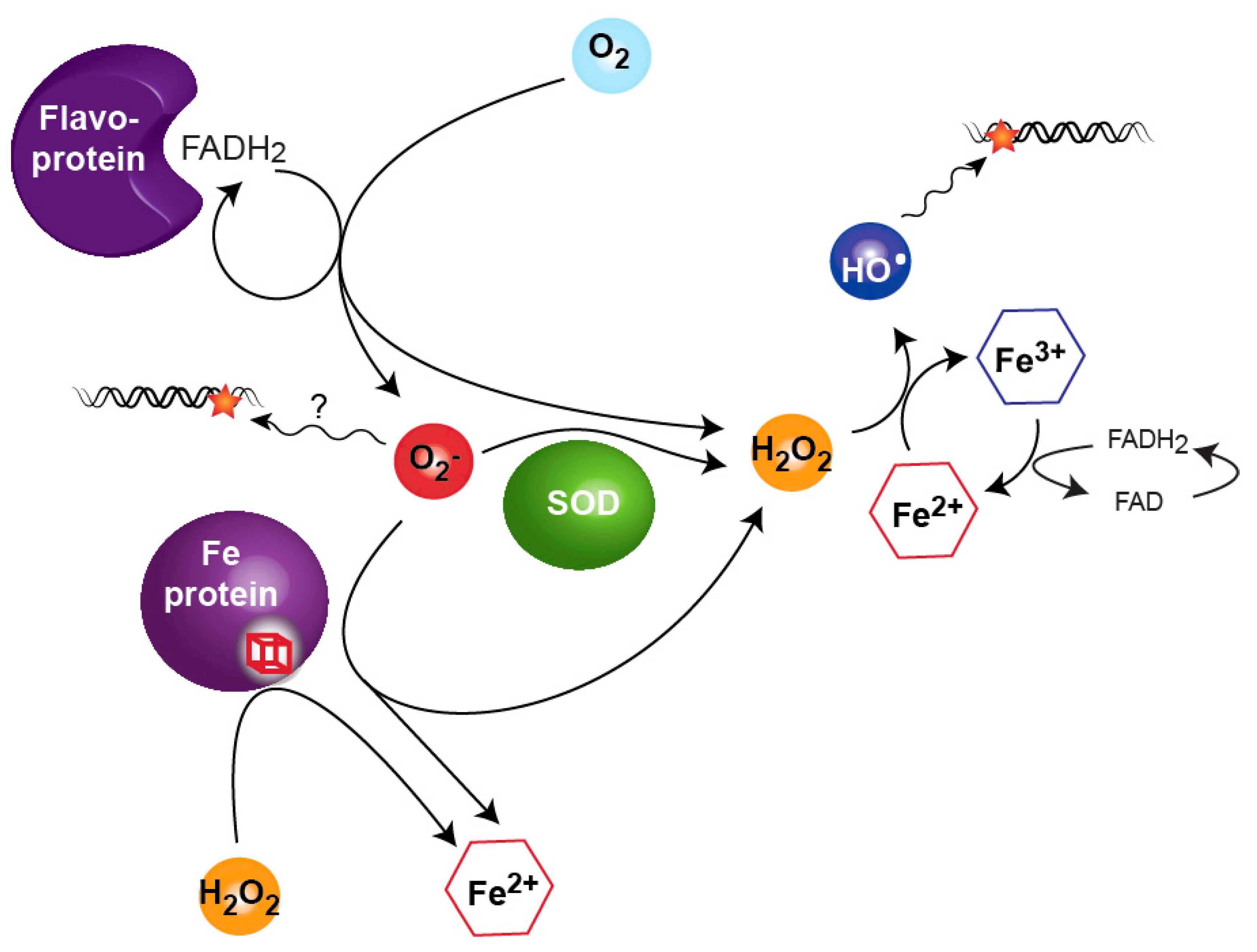 Genes 09 00565 g002 Genes 09 00565 g002