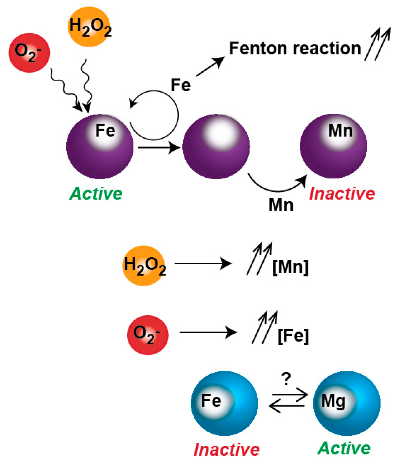 Genes 09 00565 g003 Genes 09 00565 g003