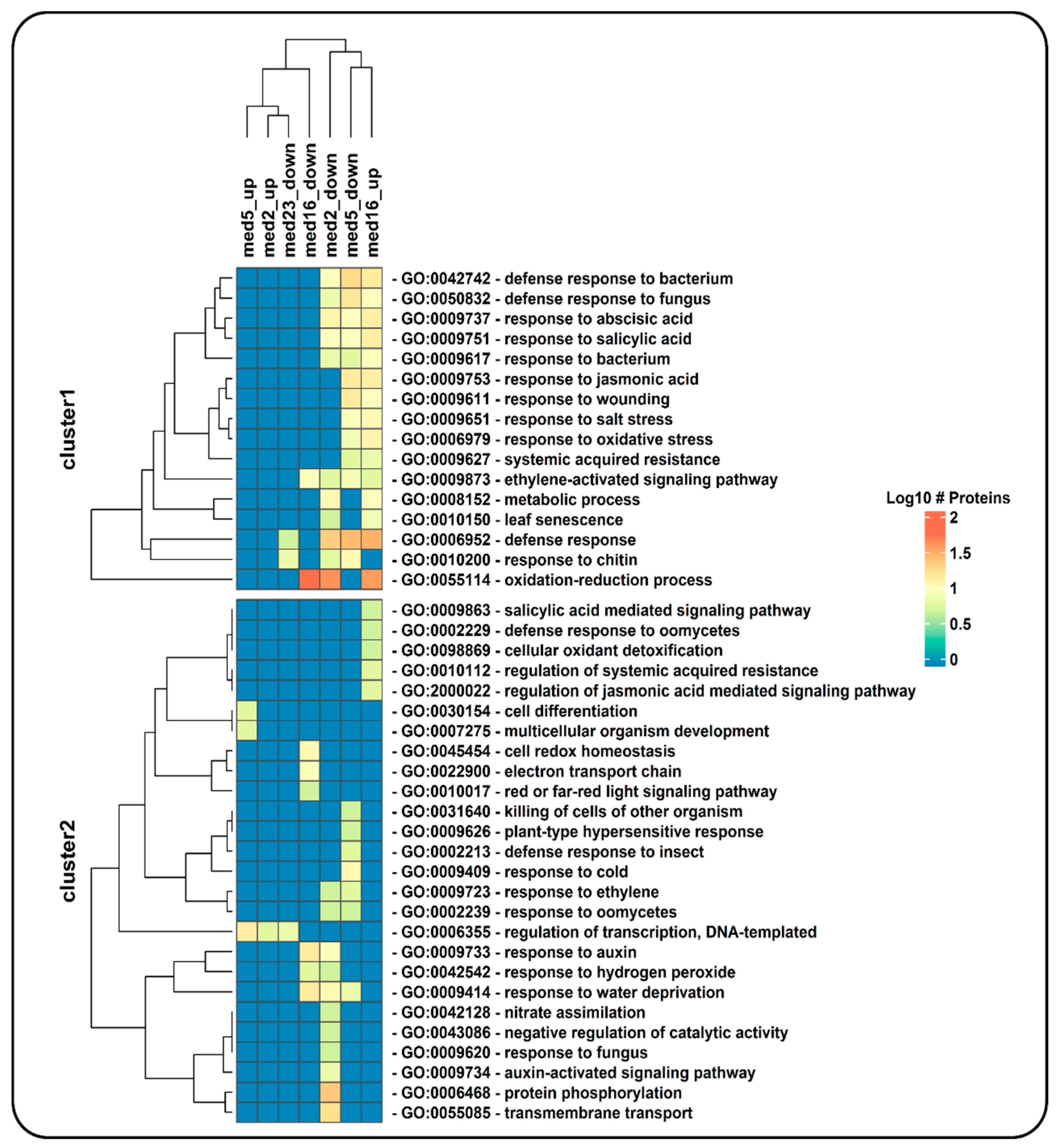 Genes 09 00569 g003 Genes 09 00569 g003