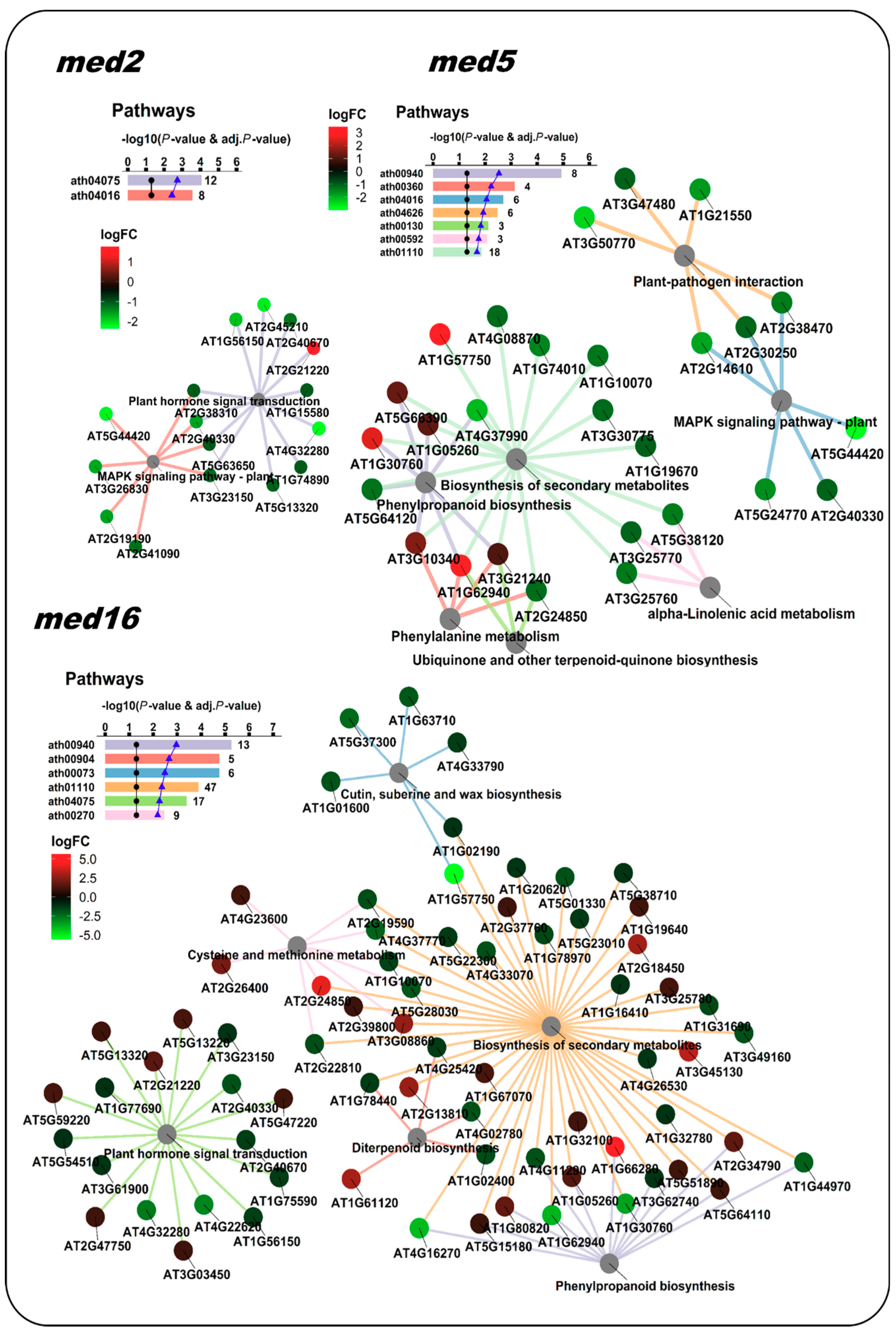 Genes 09 00569 g004 Genes 09 00569 g004