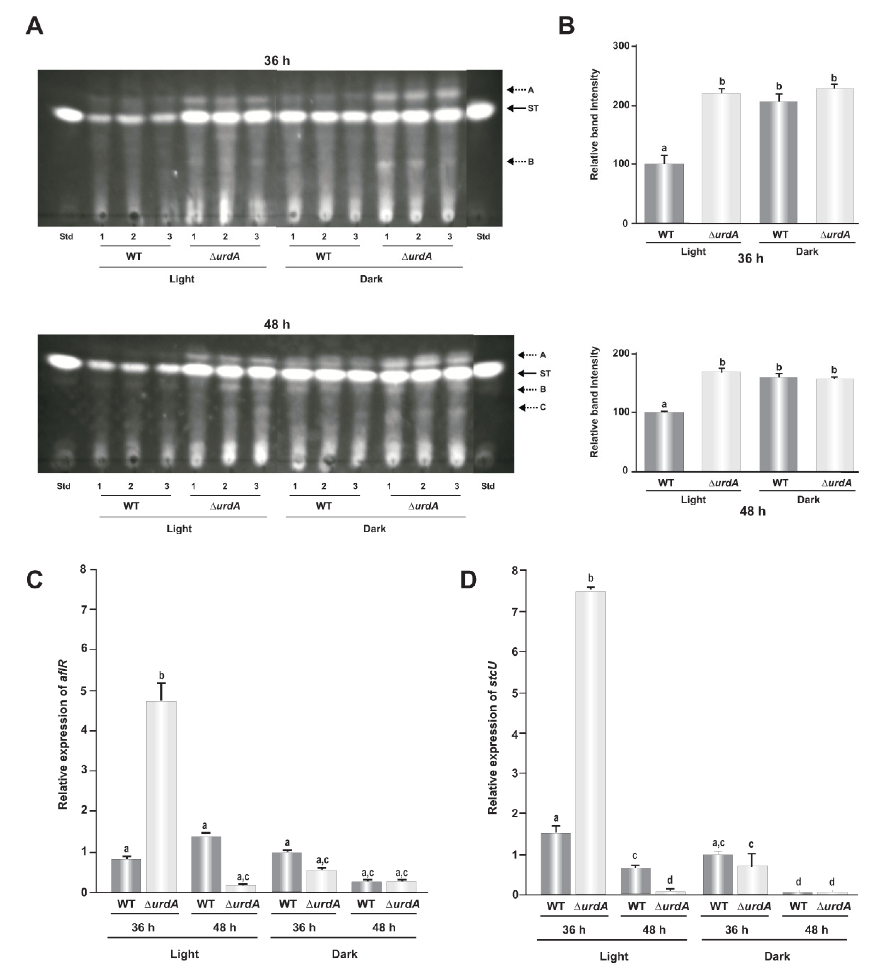 Genes 09 00570 g007 Genes 09 00570 g007