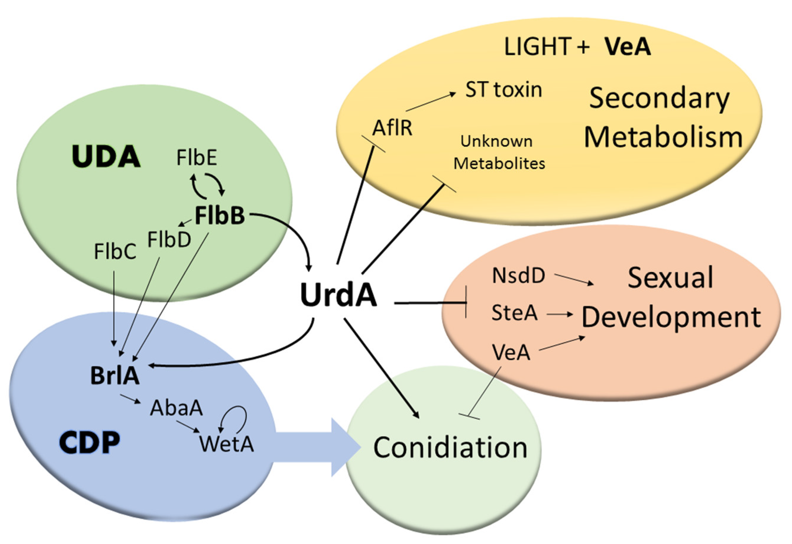 Genes 09 00570 g010 Genes 09 00570 g010