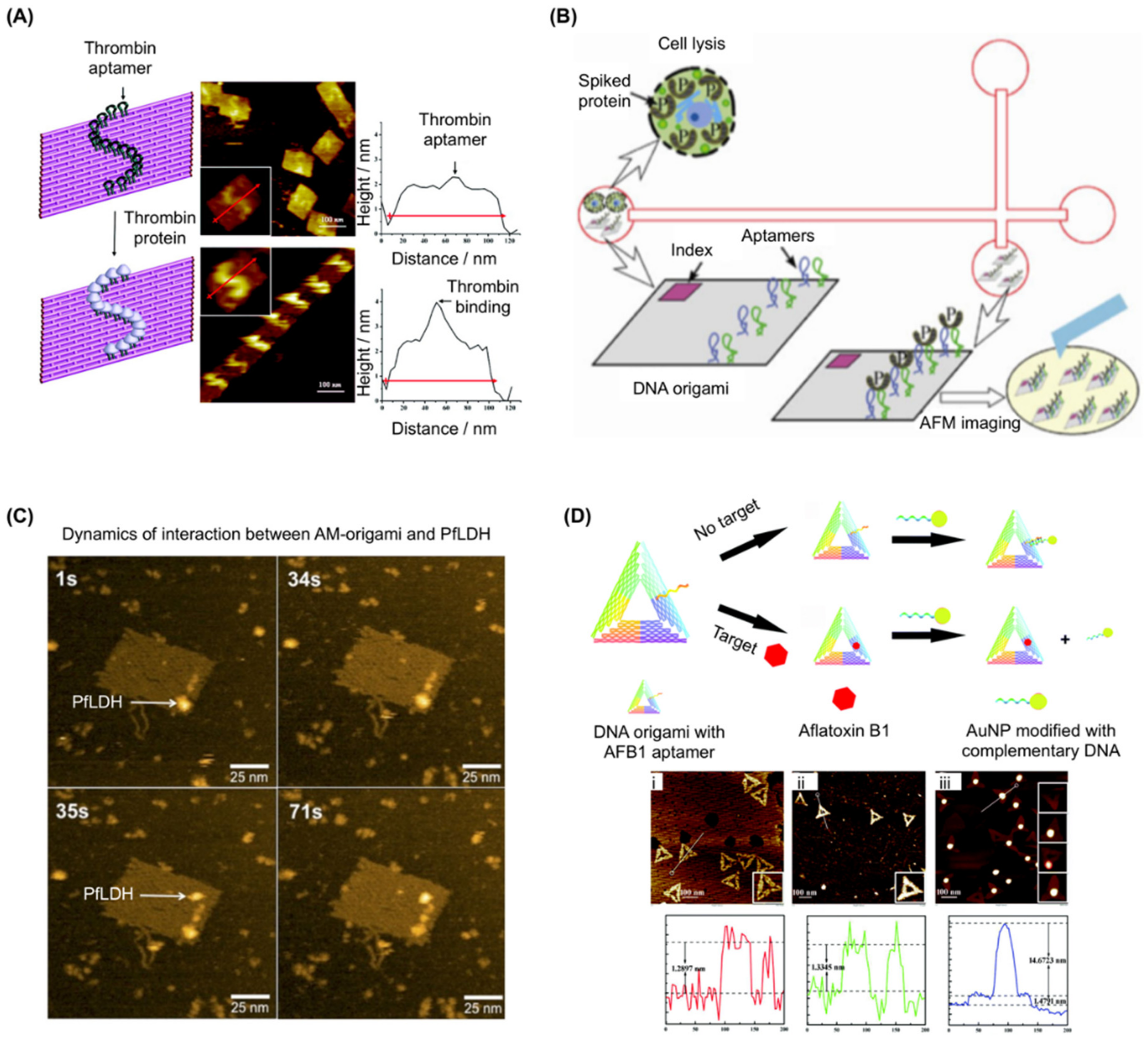 Genes 09 00571 g002 Genes 09 00571 g002