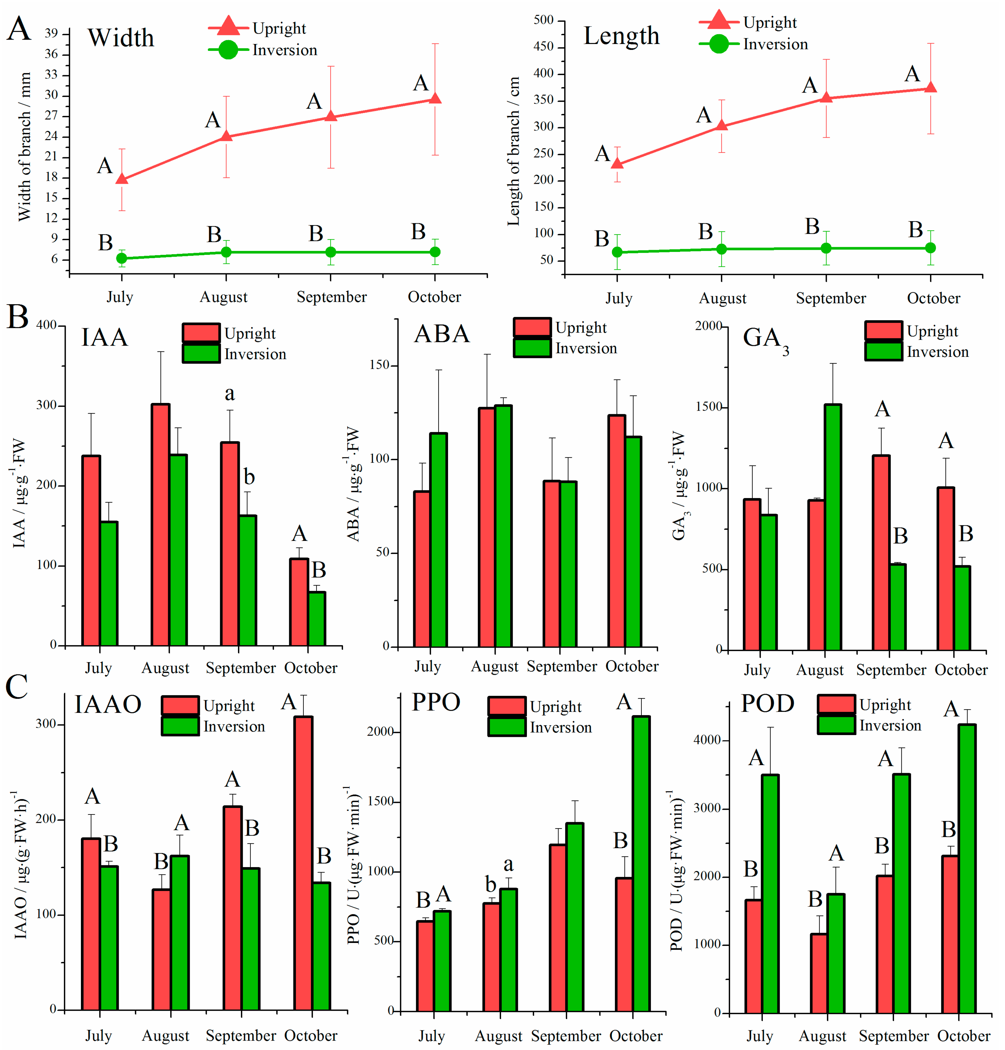 Genes 09 00572 g001