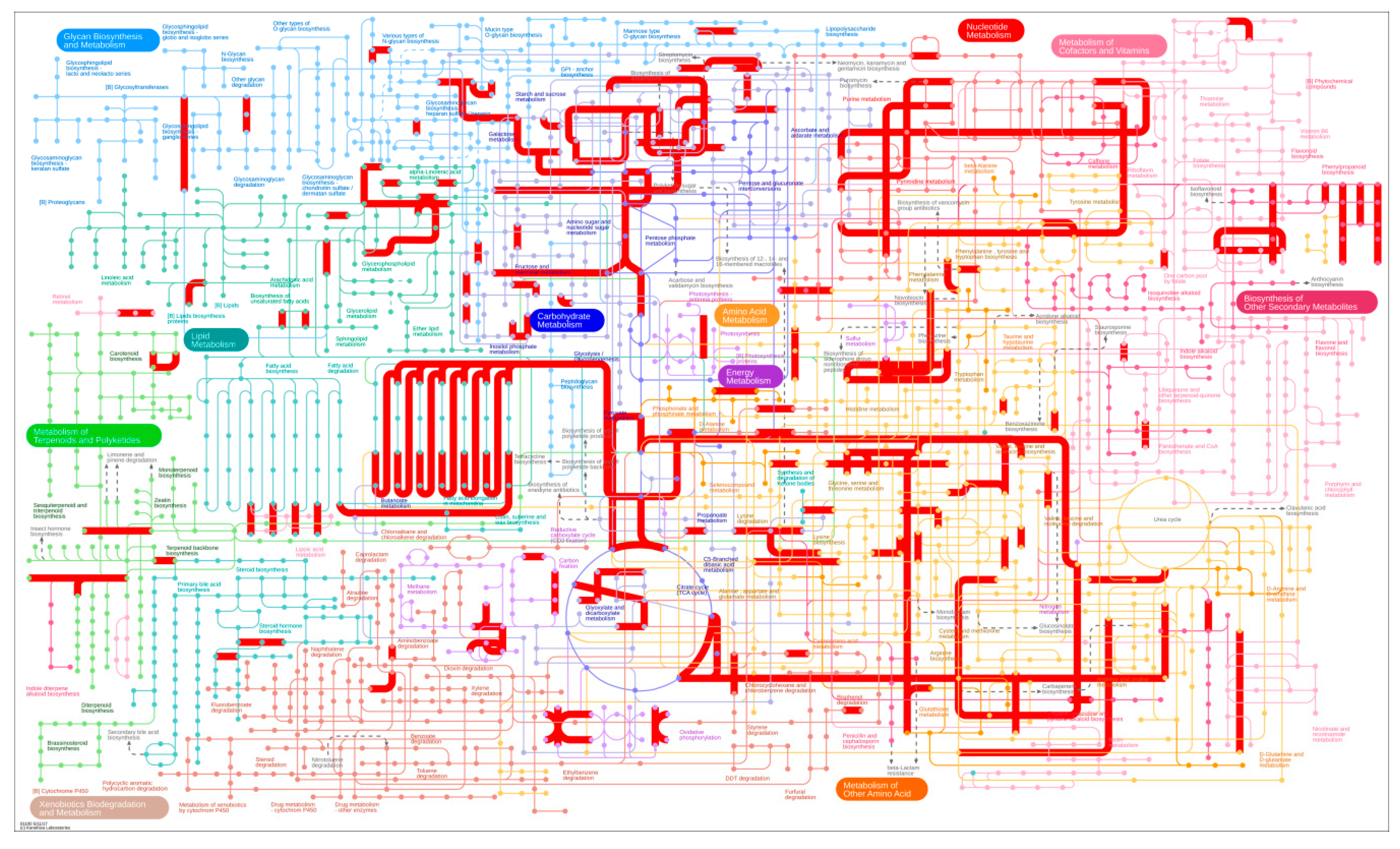 Genes 09 00572 g006
