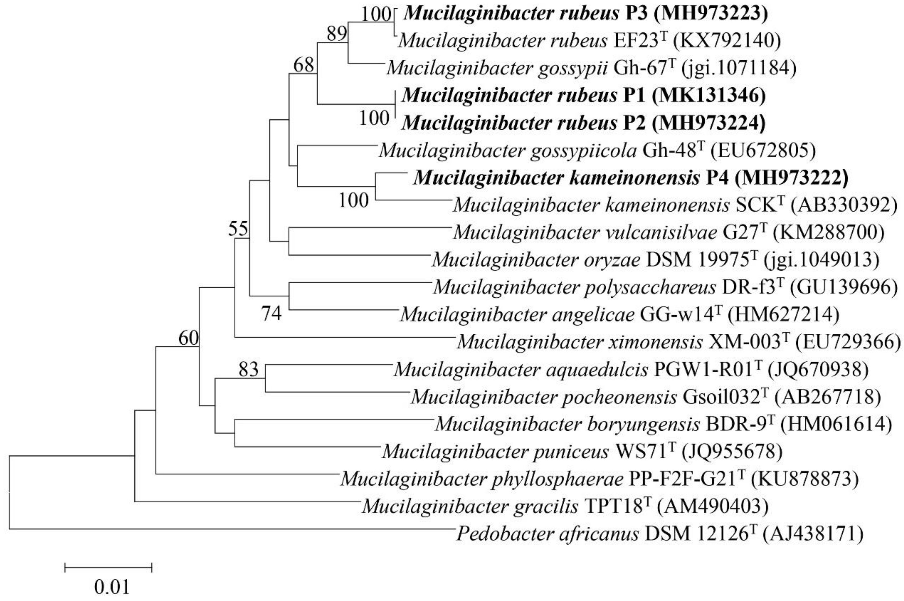Genes 09 00573 g001