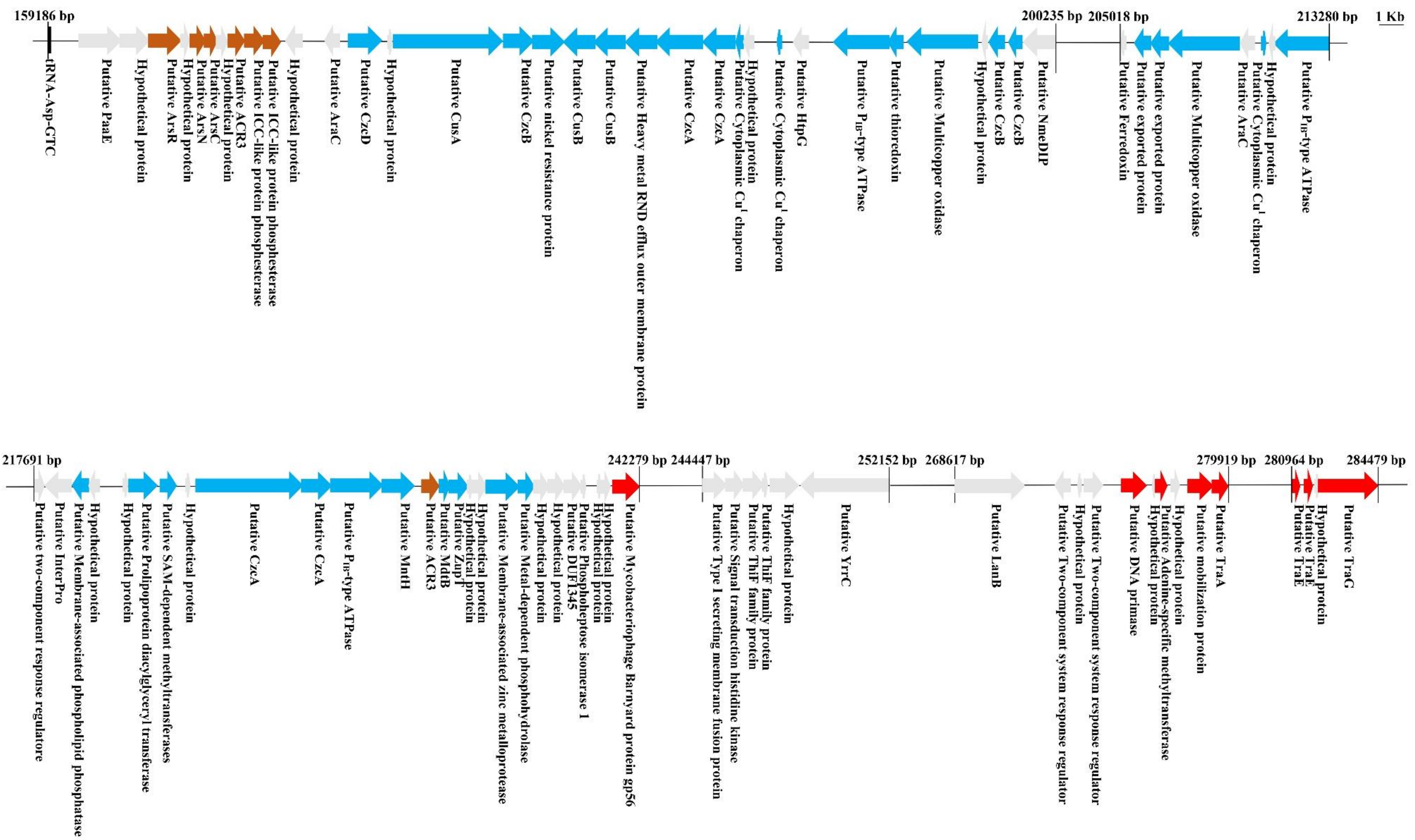 Genes 09 00573 g002