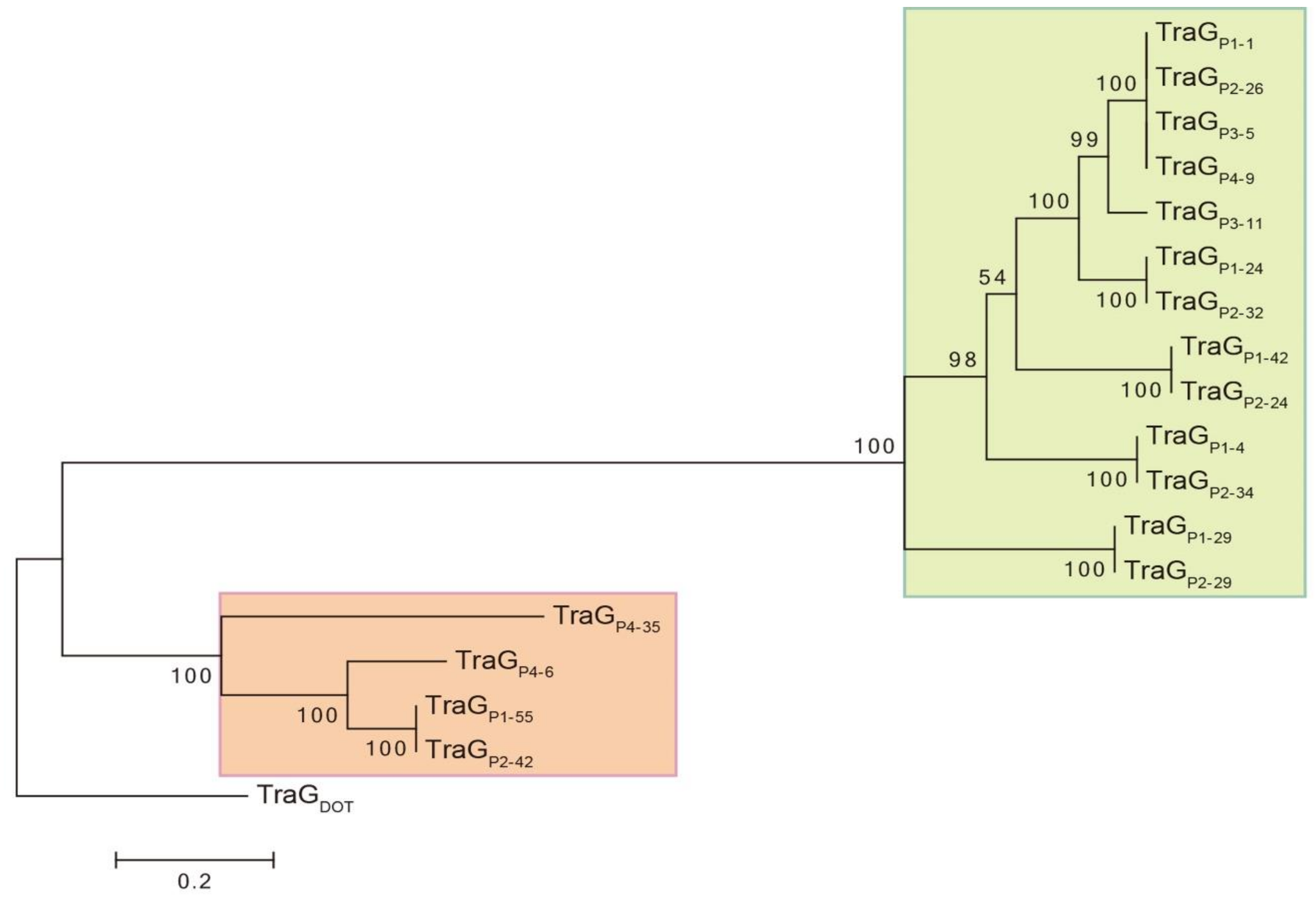 Genes 09 00573 g003